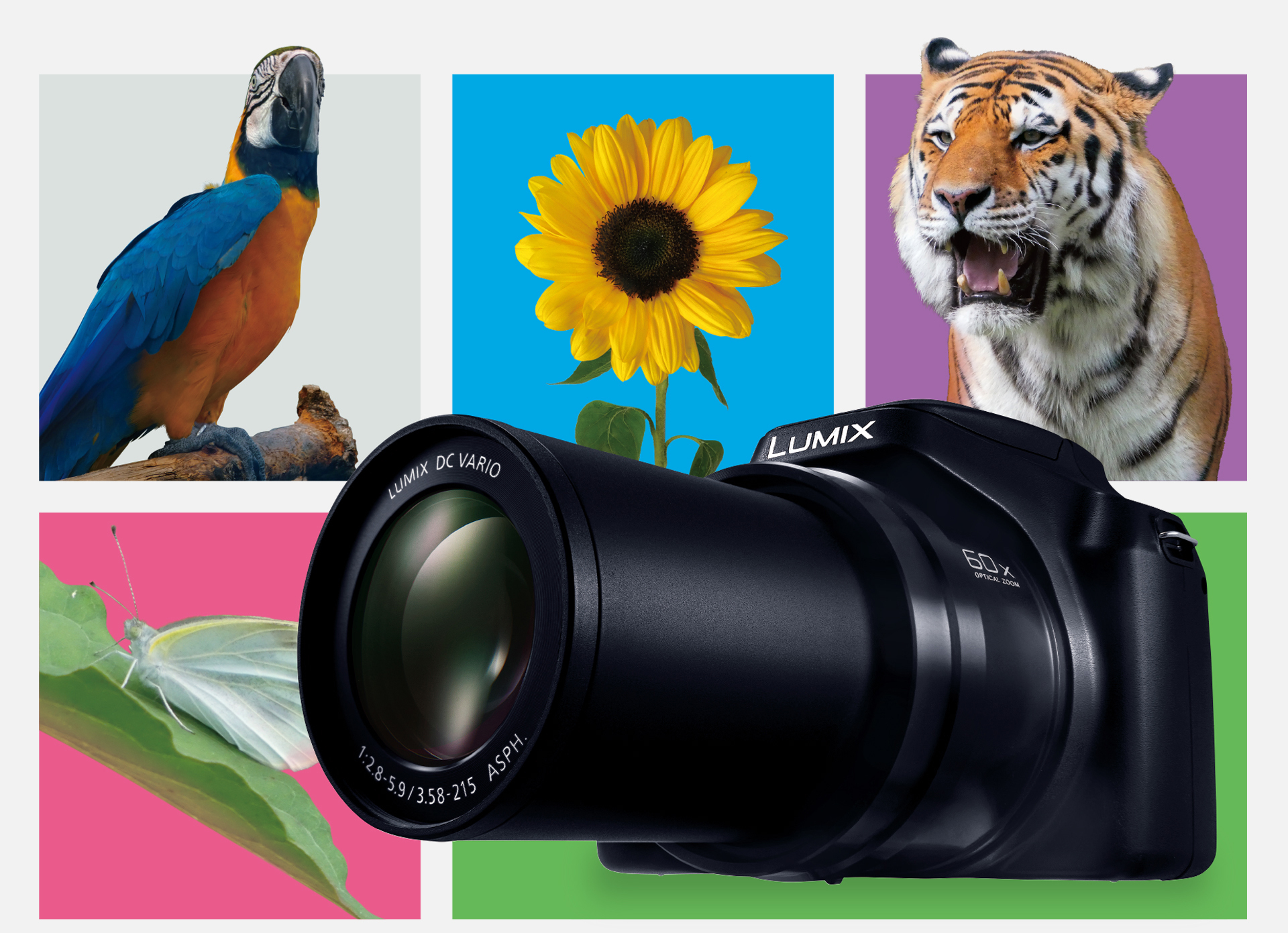 Panasonic 樂聲牌 - Lumix DC-FZ85D 可覆蓋超廣角20mm到超望遠1200mm的焦距。集合獨有光學技術，實現60倍光學變焦。（平行進口）