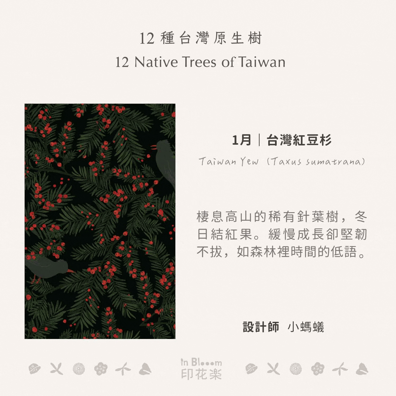 樹年曆印花設計