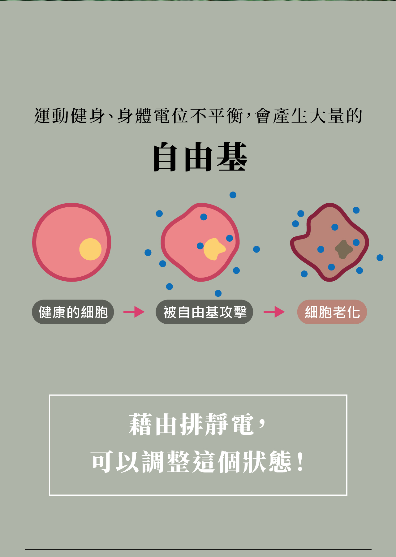 USTINI我挺你健康鞋動靜極地鞋排靜電鞋
