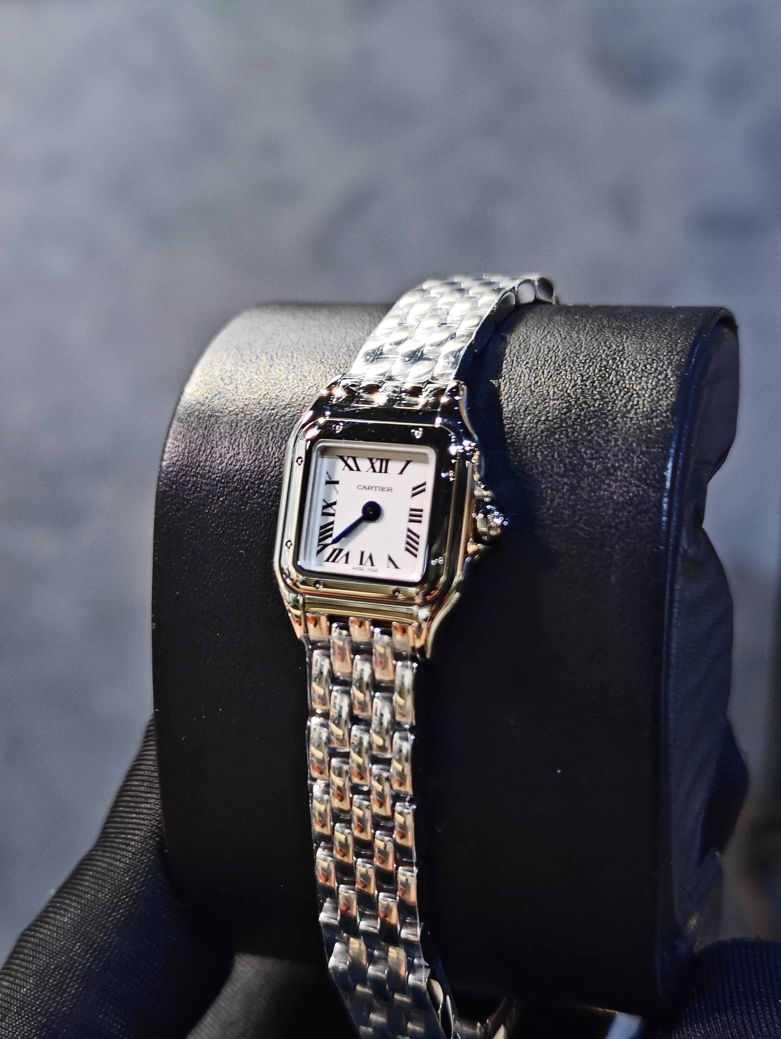 BRAND NEW CARTIER WSPN0012 MINI MODEL SILVER DIAL PANTHERE DE CARTIER 25MM