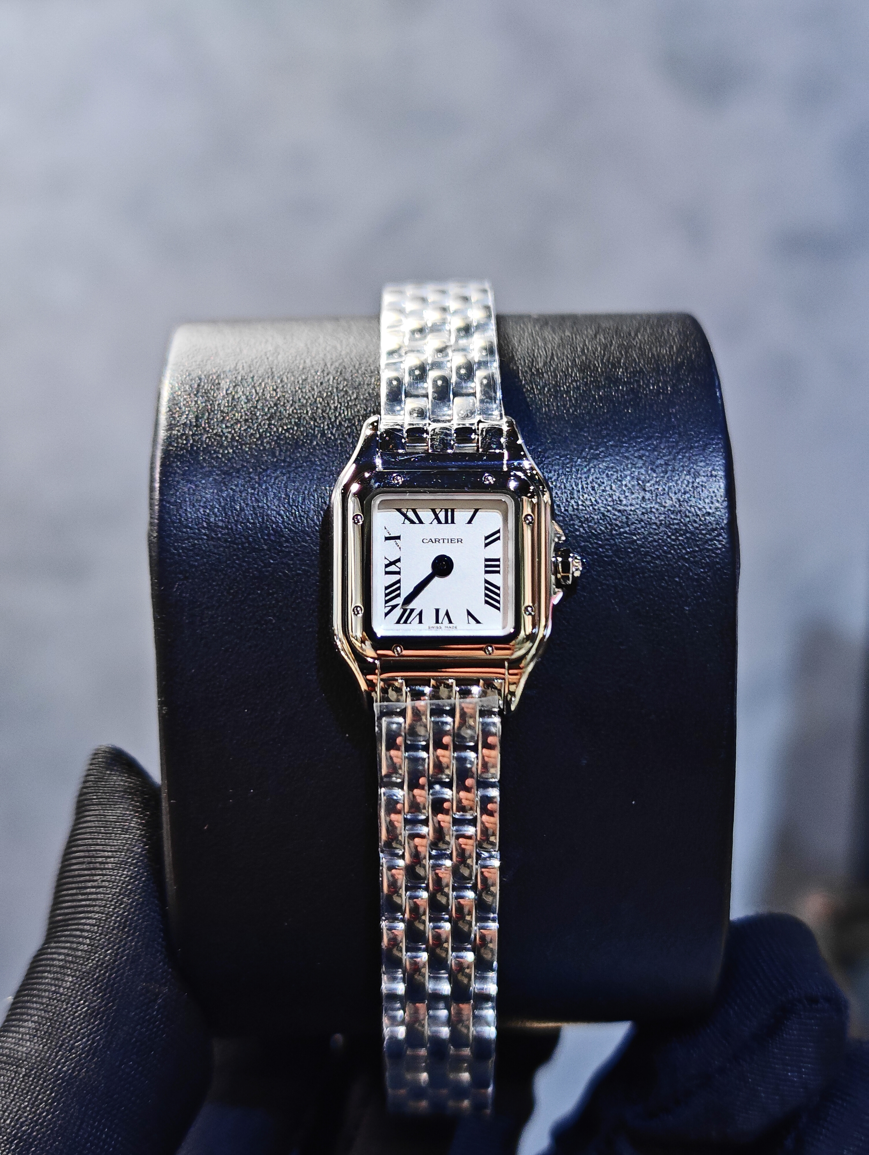 BRAND NEW CARTIER WSPN0012 MINI MODEL SILVER DIAL PANTHERE DE CARTIER 25MM