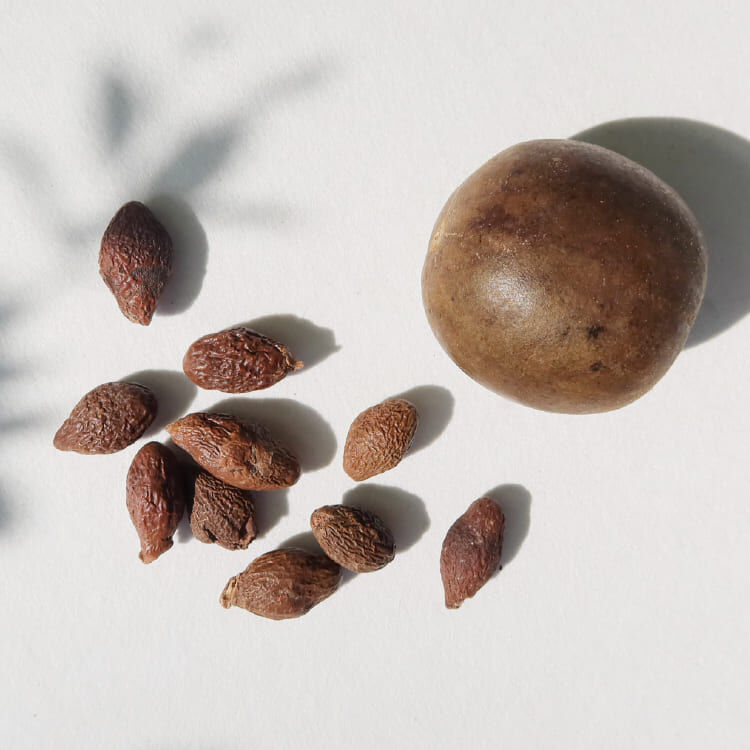 喉を潤す自然【ボイスケア漢方茶 】ロモジ漢方養生茶 10バッグ入り