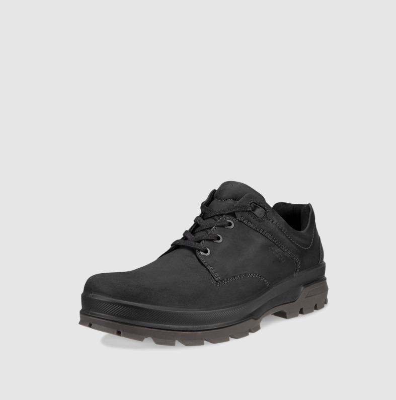 【現貨】ECCO DM090376 Men Rugged Track Water-repellent Shoe