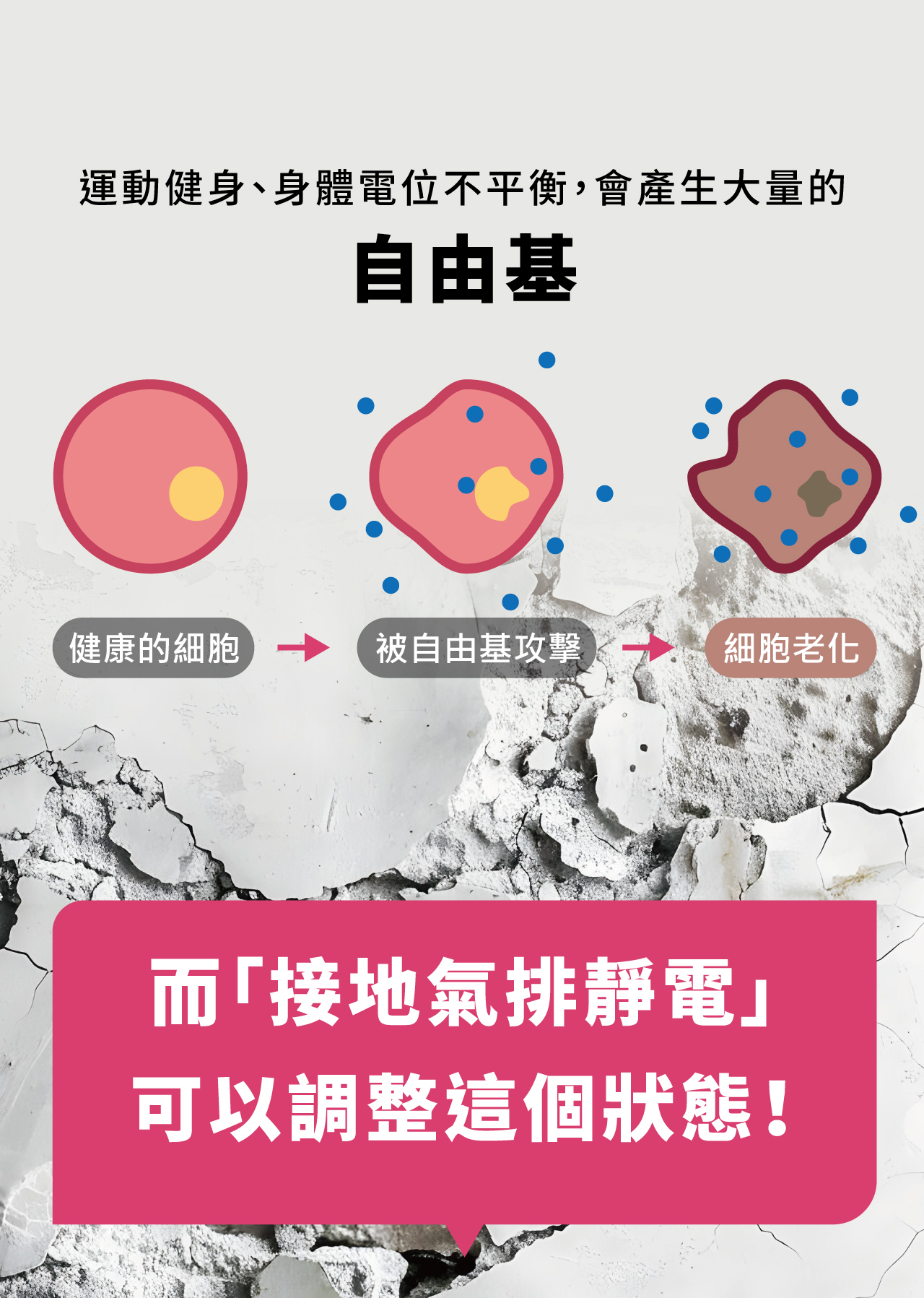 USTINI 我挺你健康鞋豹豹極地鞋專業接地氣跑鞋