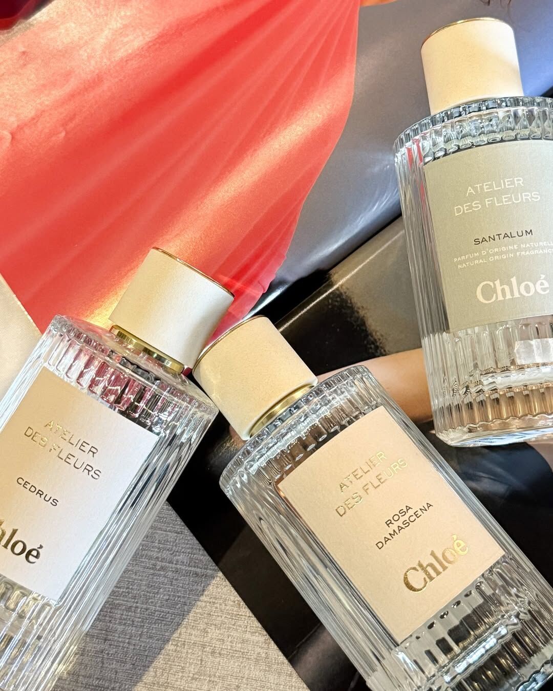 Chloe 仙境花園系列-北國雪松淡香精50ml/150ml