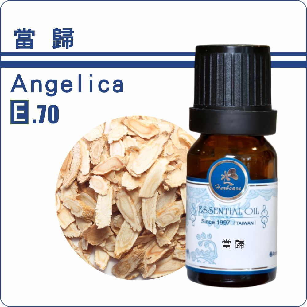 野生中華當歸純精油5ml