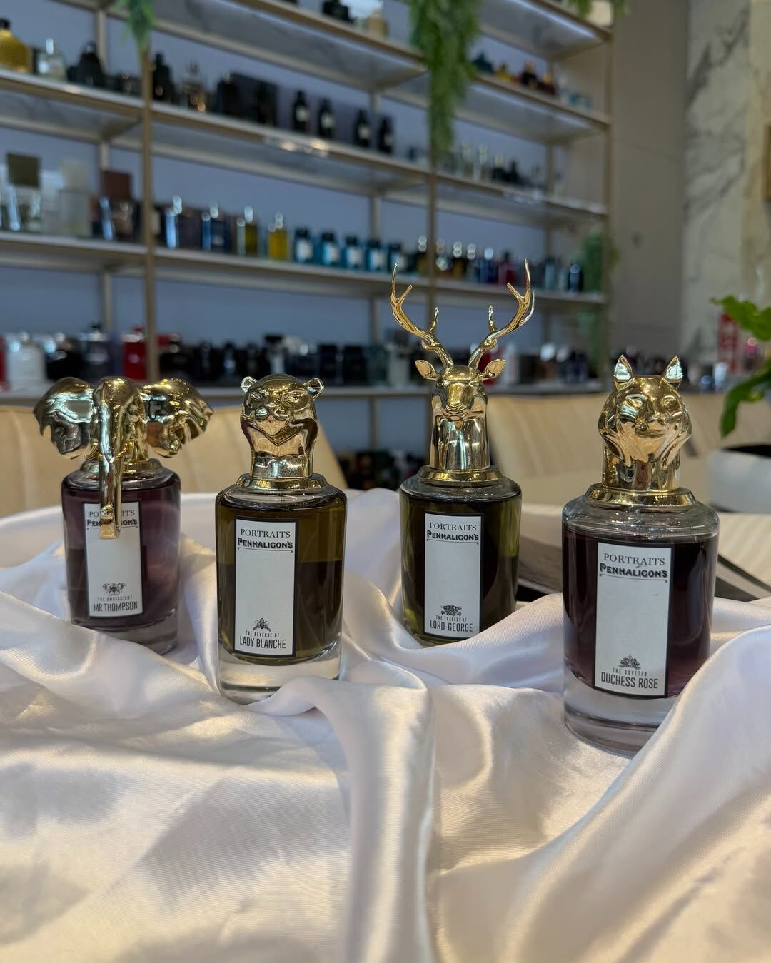 Penhaligon's 潘海利根獸首肖像香水系列Lady Blanche 花豹女性淡香精75ml