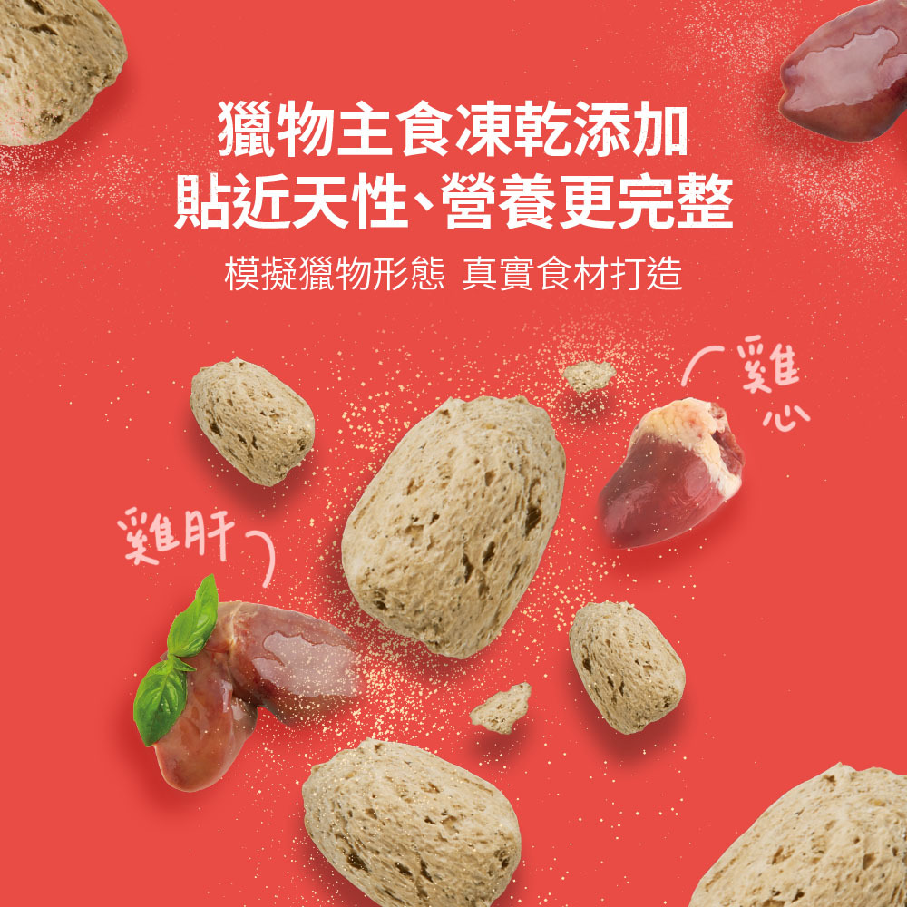 SOLUTION 耐吉斯｜P2 凍乾多拼鮭魚餐-全齡犬