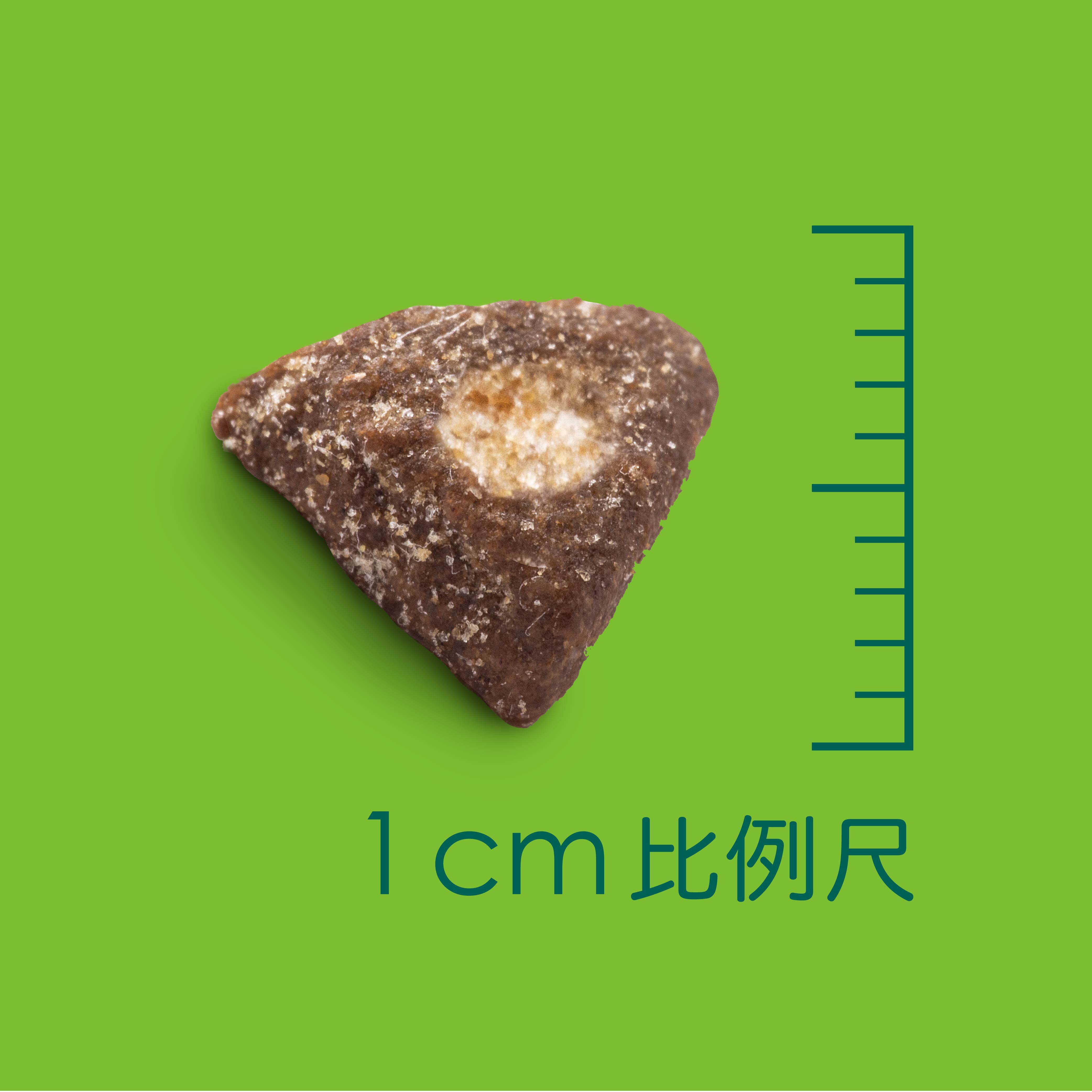 SOLUTION 耐吉斯｜P系列貓飼料試吃包