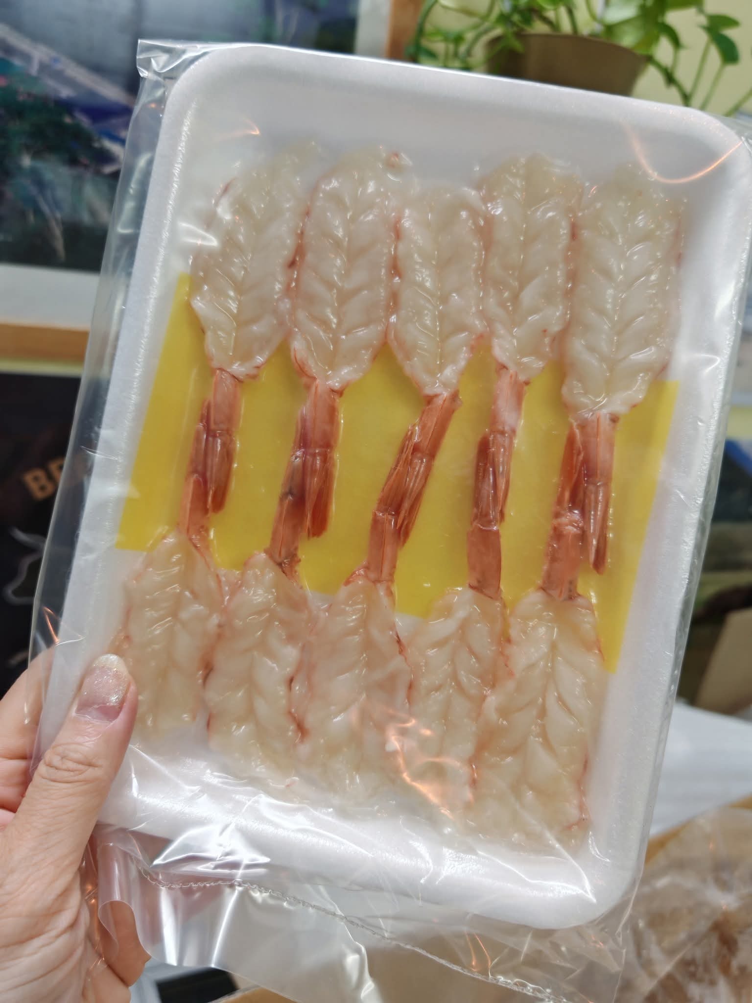 11月優惠-阿根廷開邊赤蝦刺身(10pcs)