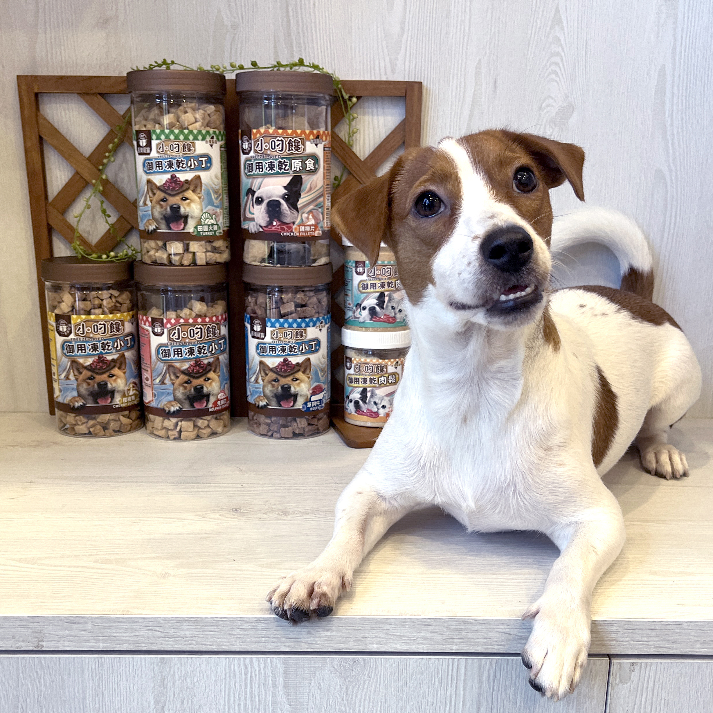 小叼饞狗凍乾小丁零食-櫻桃鴨 草飼牛 田園火雞 鬼頭刀-罐裝