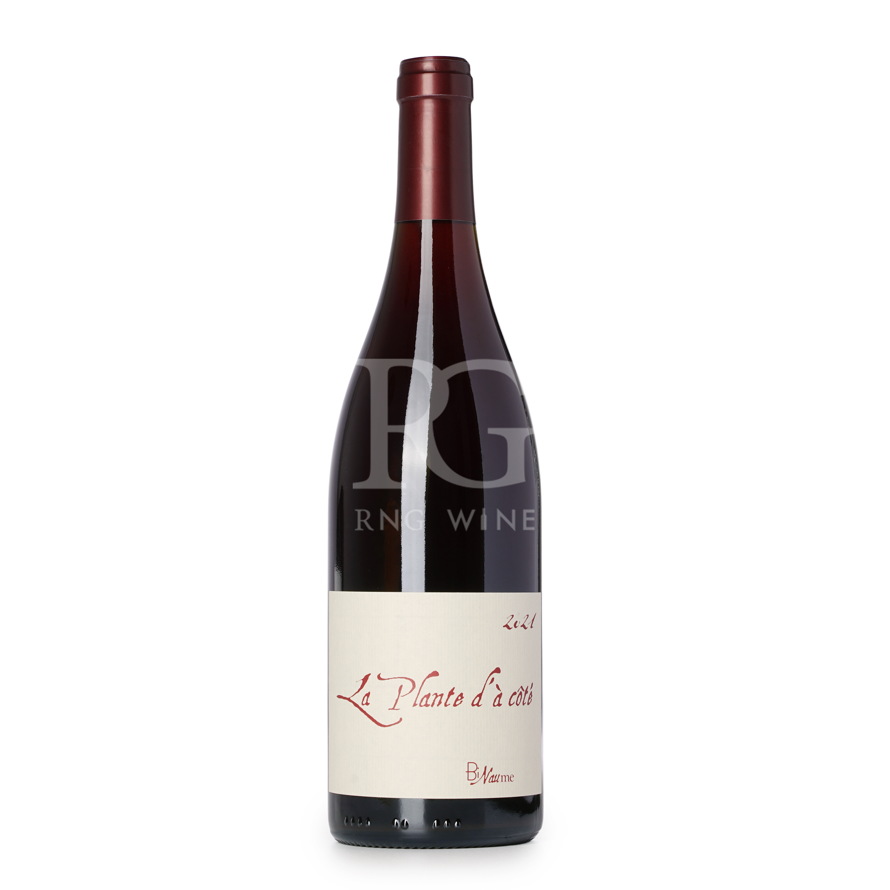 Claire Naudin Ferrand La Plante D'A Cote 2021