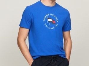 [S] TOMMY HILFIGER MENS TH FLAG GRAPHIC T-SHIRT,BLUE, 78JA928-401 (STH731)