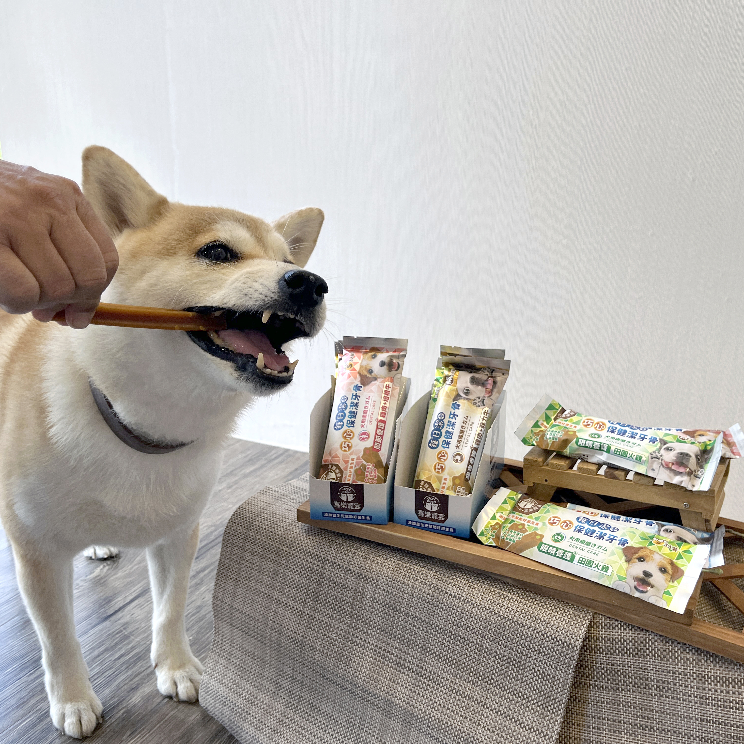 每日潔 - 巧心保健潔牙骨 (四種保健機能-M尺寸)