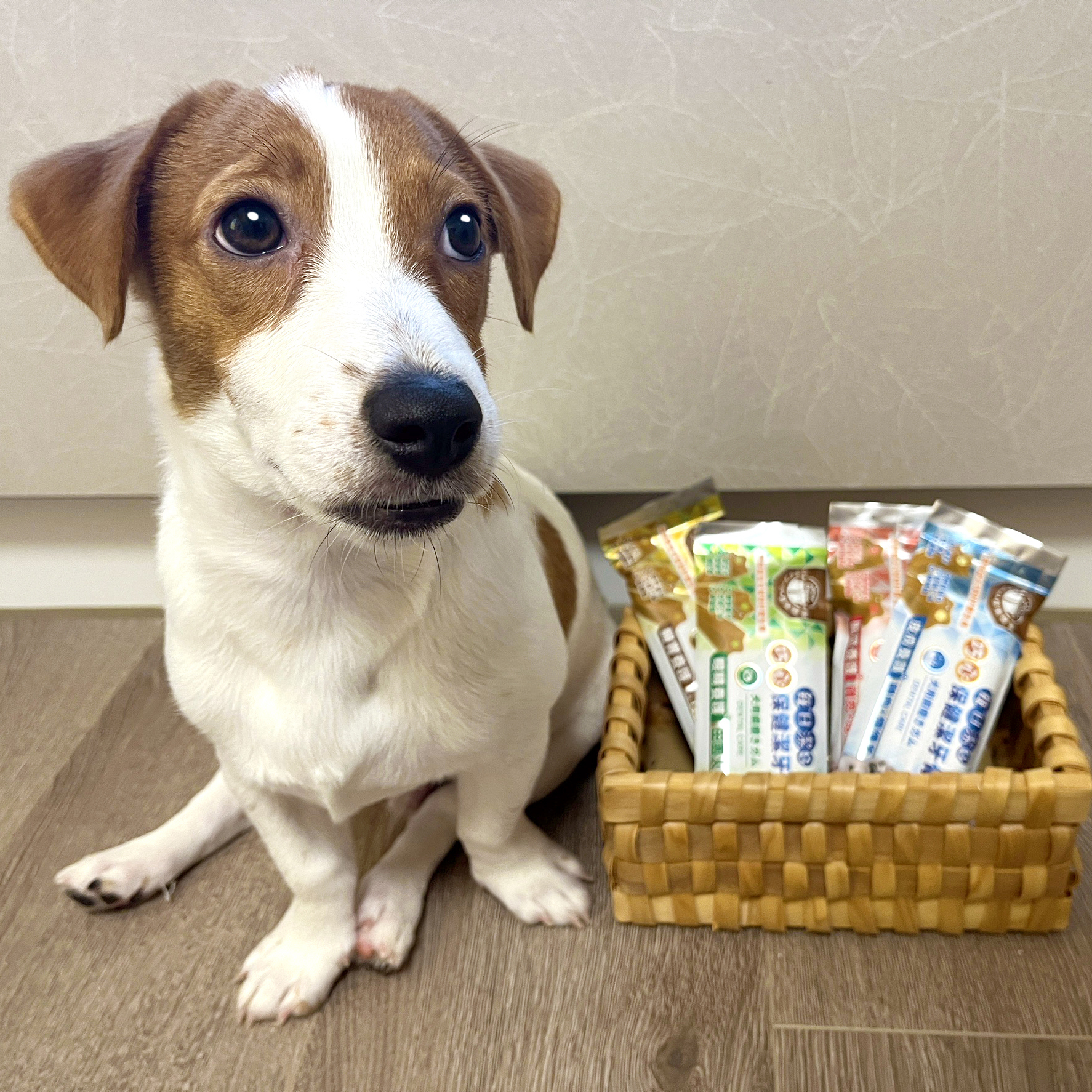 每日潔 - 巧心保健潔牙骨 (四種保健機能-S尺寸)