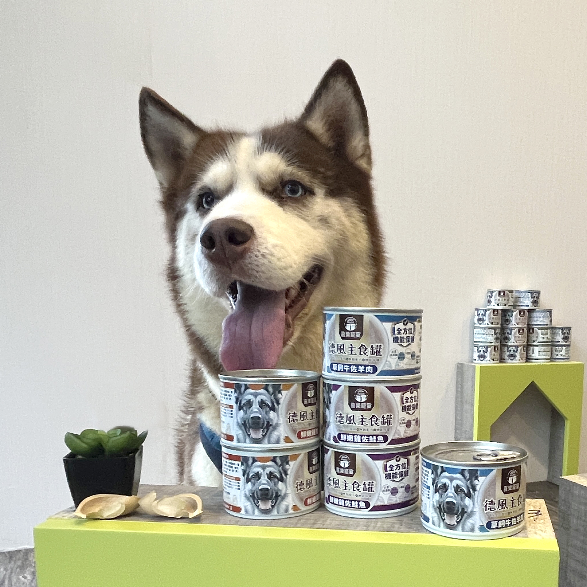 德風主食罐-全方位機能保健 165g - 1箱送2罐 箱購優惠1箱8折、2箱75折、3箱7折