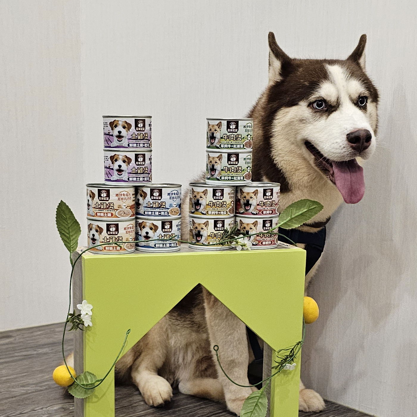 土雞/牛肉煲-維持免疫力及抵抗力 165g