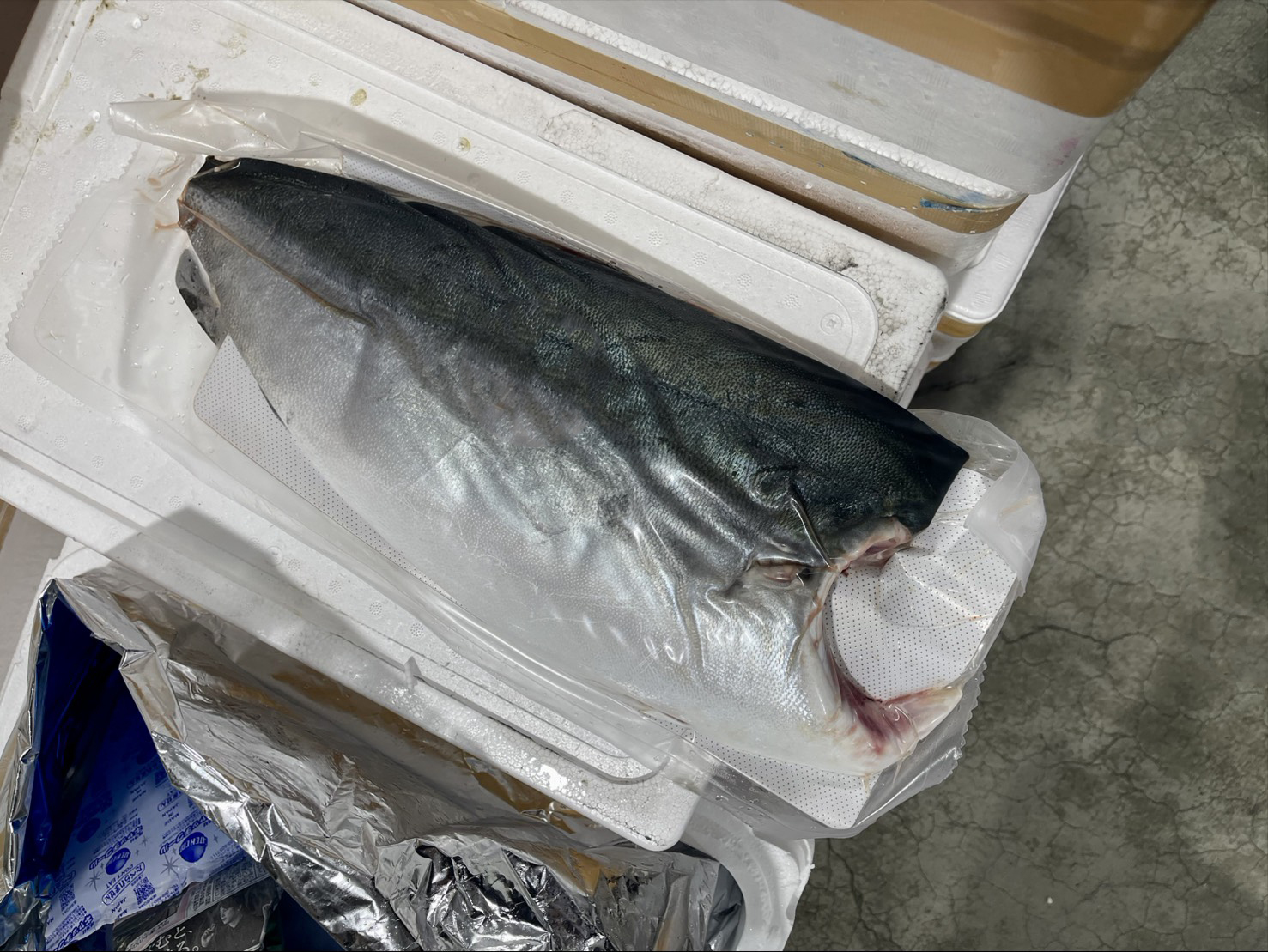 青甘魚片