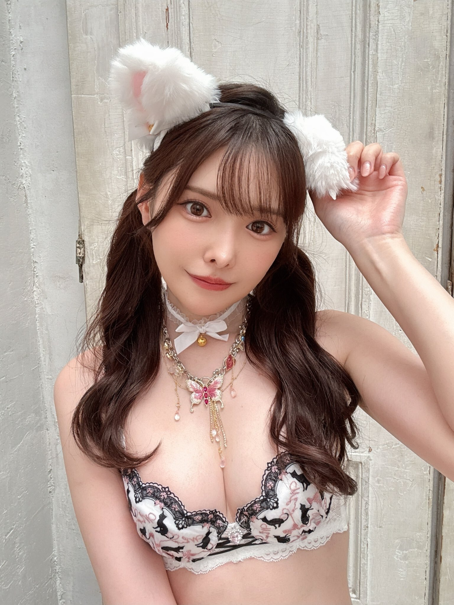 新有菜 - 動物造型