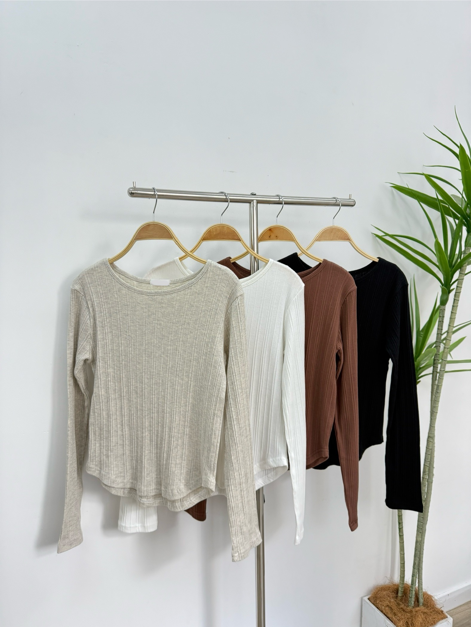 【現貨】   𝔸𝕦𝕥𝕦𝕞𝕟 ℕ𝔼𝕎  圓領直紋弧形邊長袖