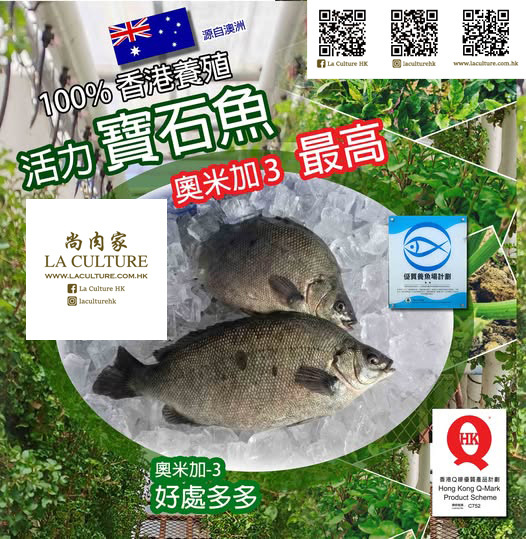 寶石鱸魚🐟350-400g