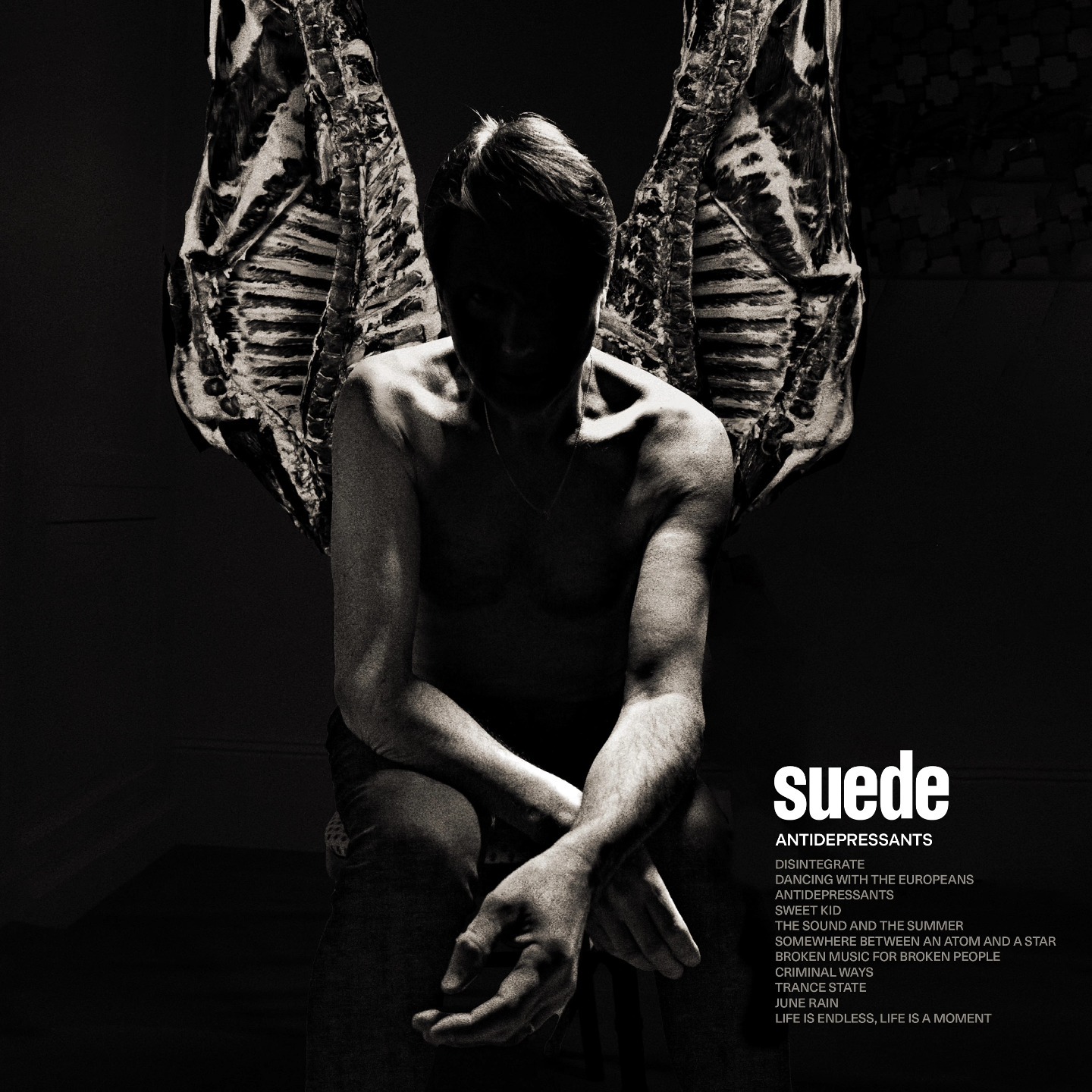 SUEDE - ANTIDEPRESSANTS LP