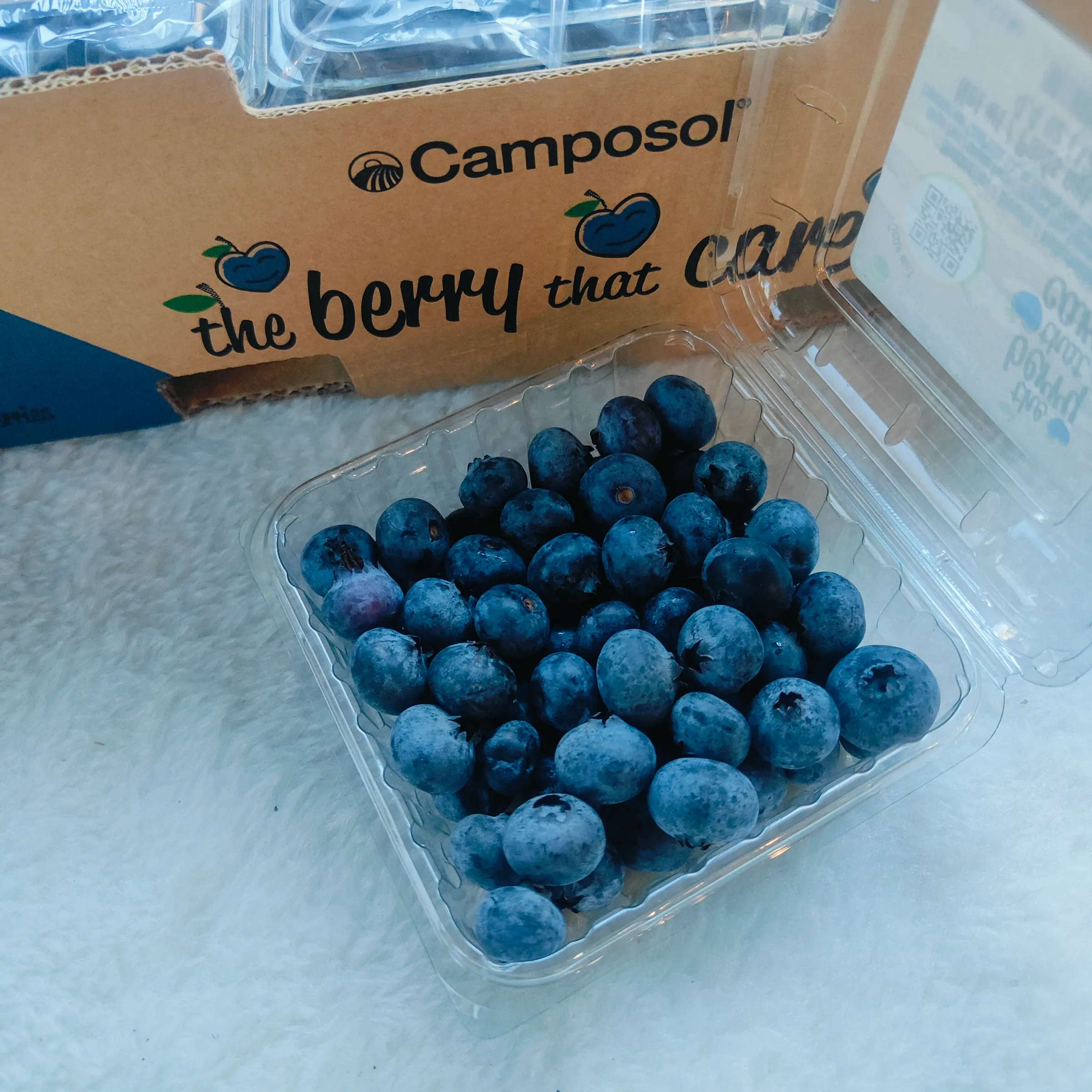 【祕魯】藍莓 125g/盒