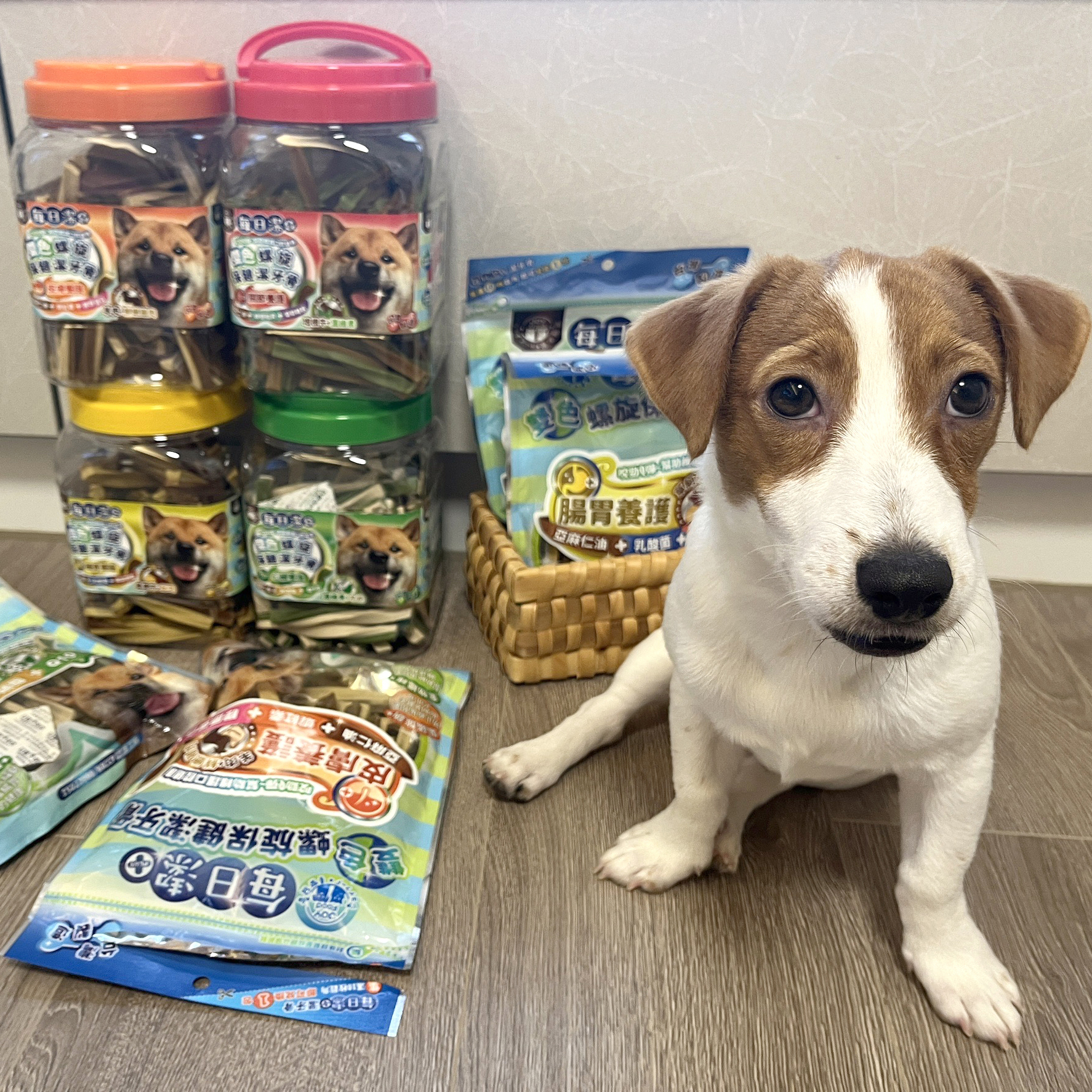 每日潔 - 雙色螺旋保健潔牙骨 (四種保健機能-罐裝) 單罐559 2罐特價959