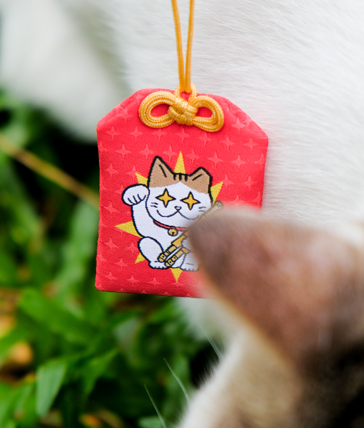 SPPPP｜Flying Boys｜御守｜新招財阿懂