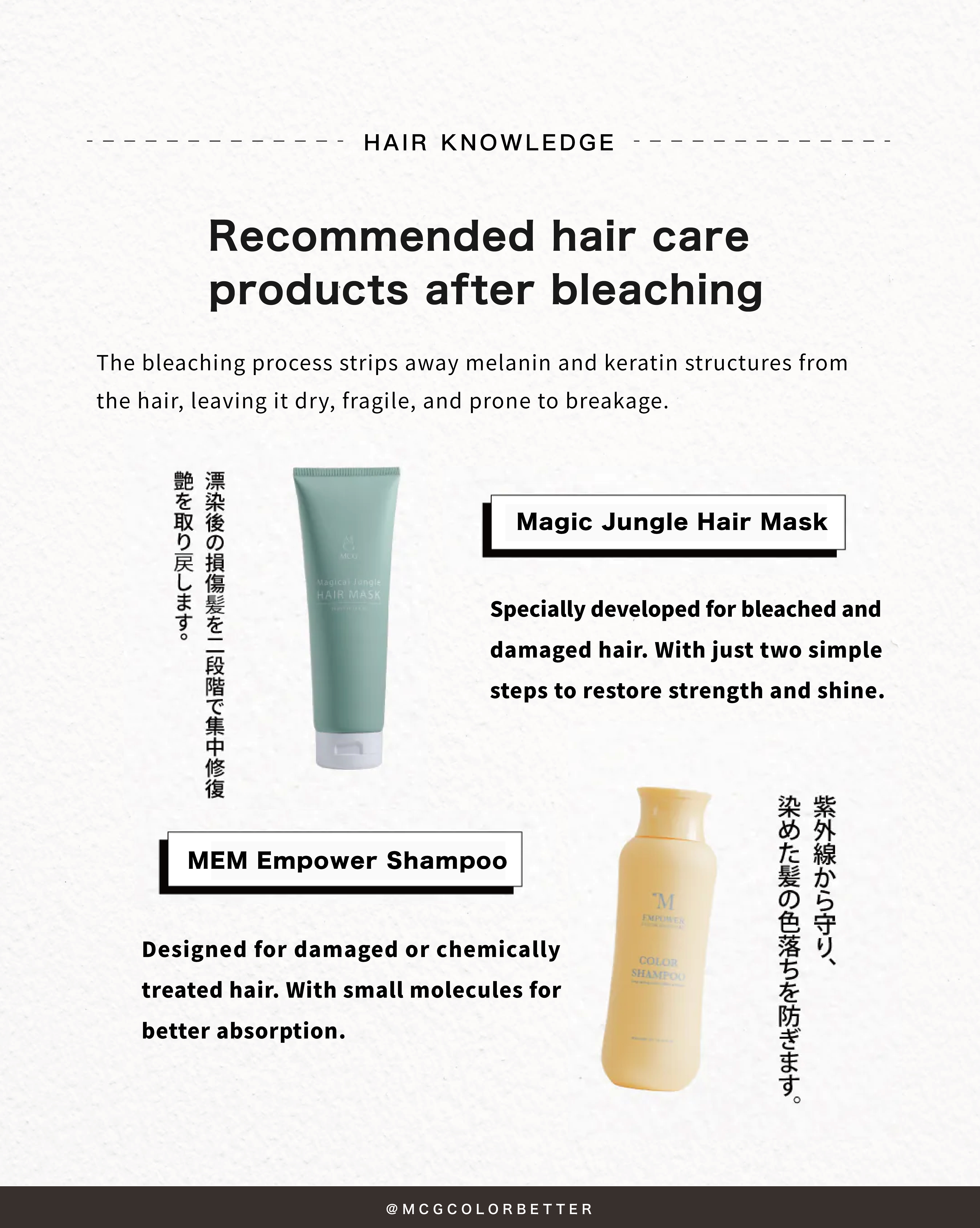 Recommended hair care products after bleaching