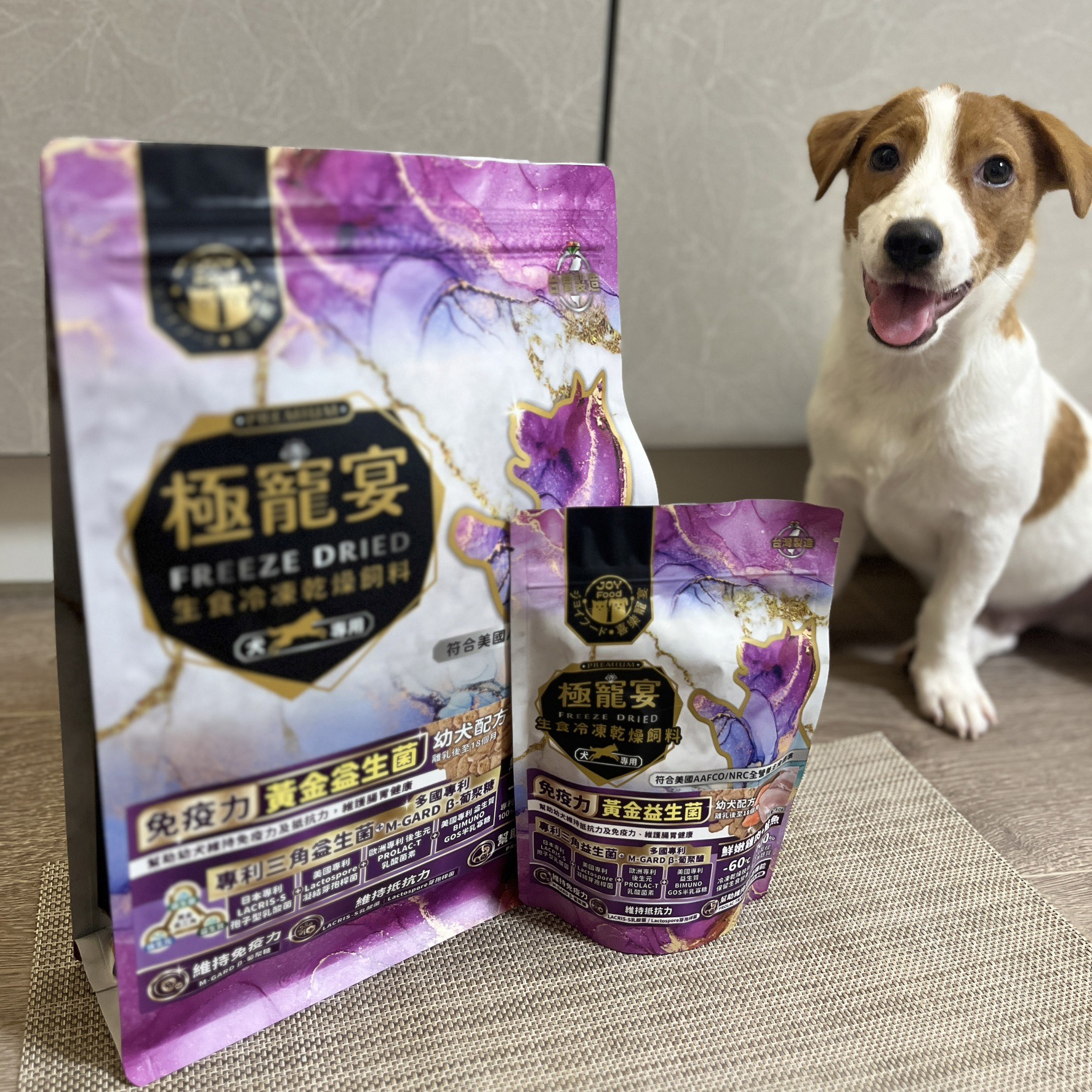 幼犬-雞肉+鮭魚 免疫力黃金益生菌配方 極寵宴凍乾主食飼料 80g