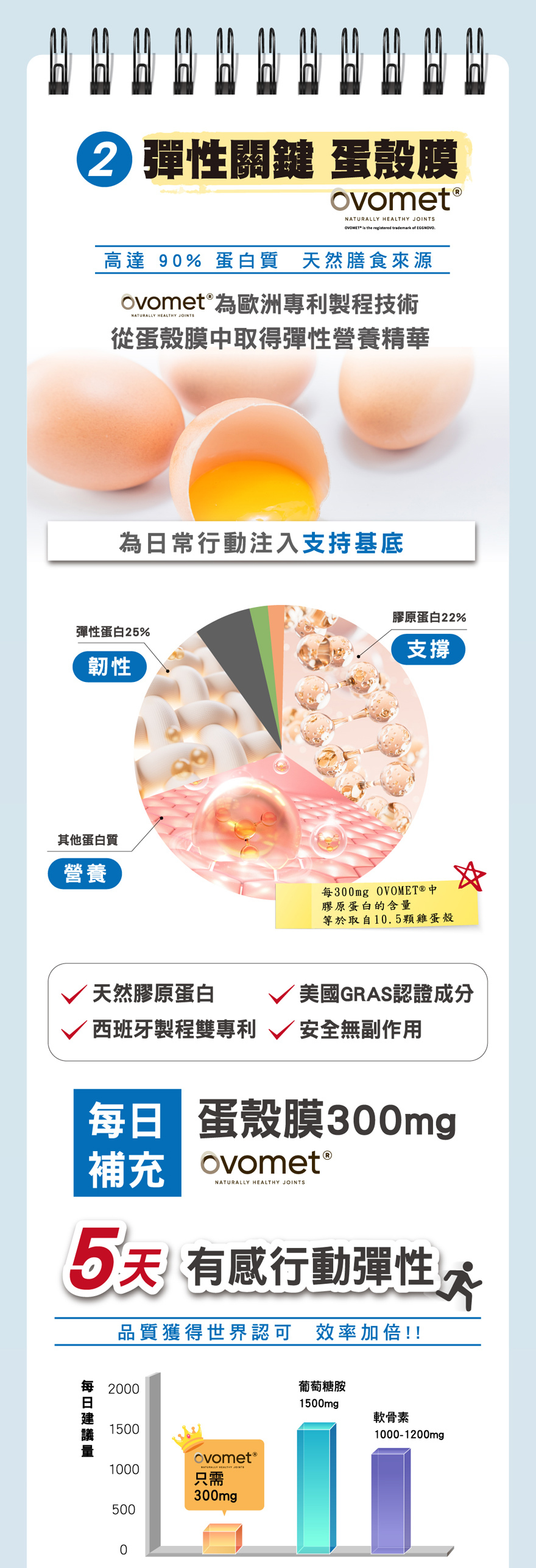 關節保健品成分蛋殼膜