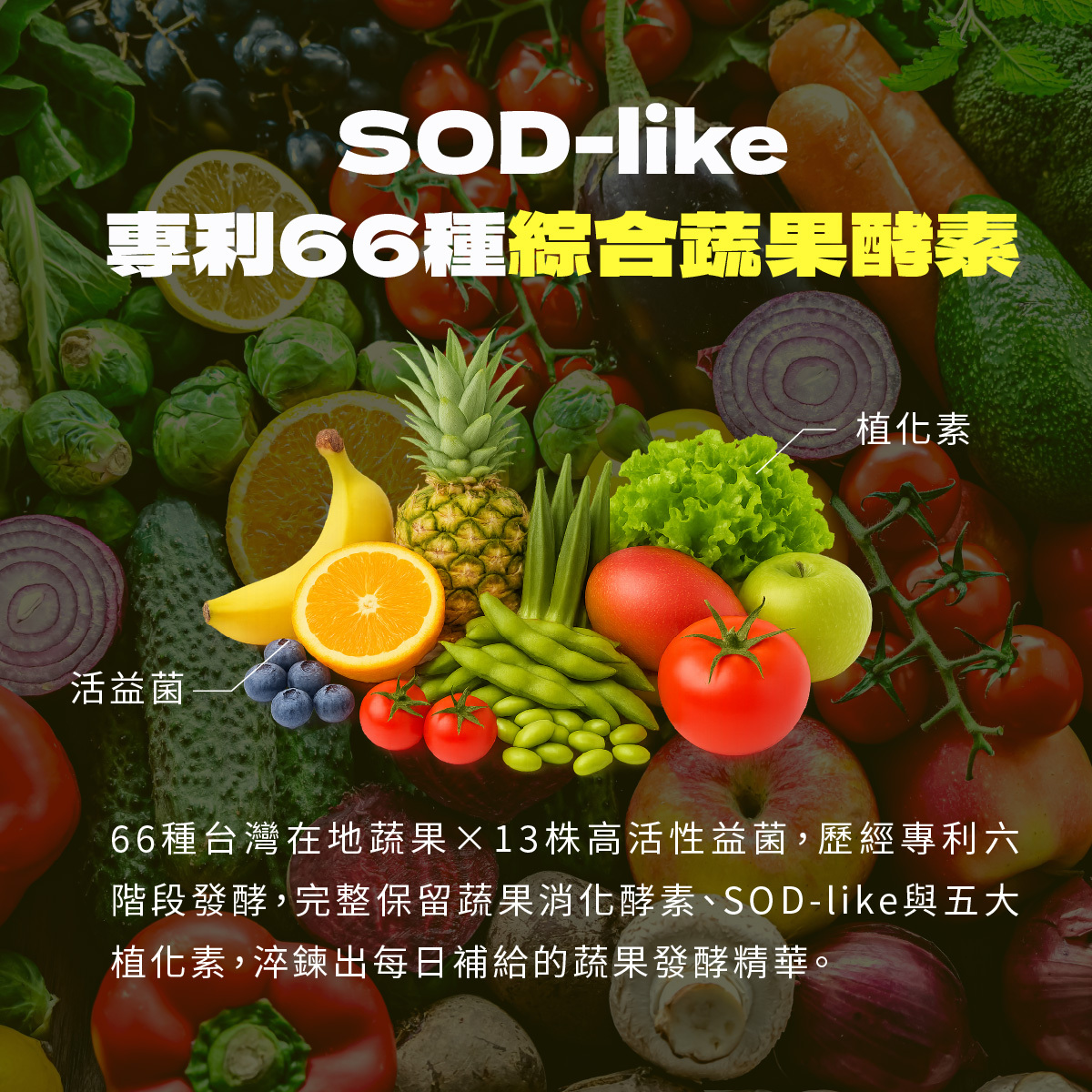 66種台灣在地蔬果×13株高活性益菌，歷經專利六階段發酵，完整保留蔬果消化酵素、SOD-like與五大植化素，淬鍊出每日補給的蔬果發酵精華。