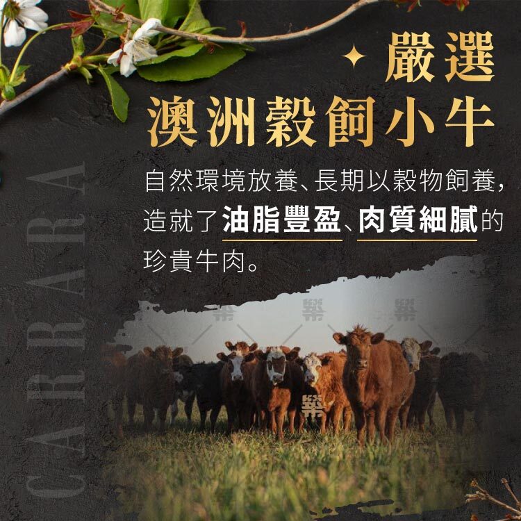 嚴選澳洲穀飼小牛自然放養、長期穀物飼養，造就油脂豐盈、肉質細膩。