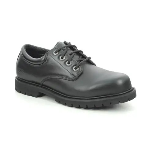 【現貨】Skechers DM090460 男裝鞋