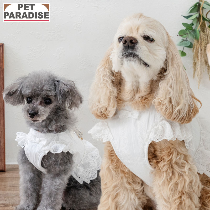 【Pet Paradise】Cotton Frill Vest Harness <342-35964>