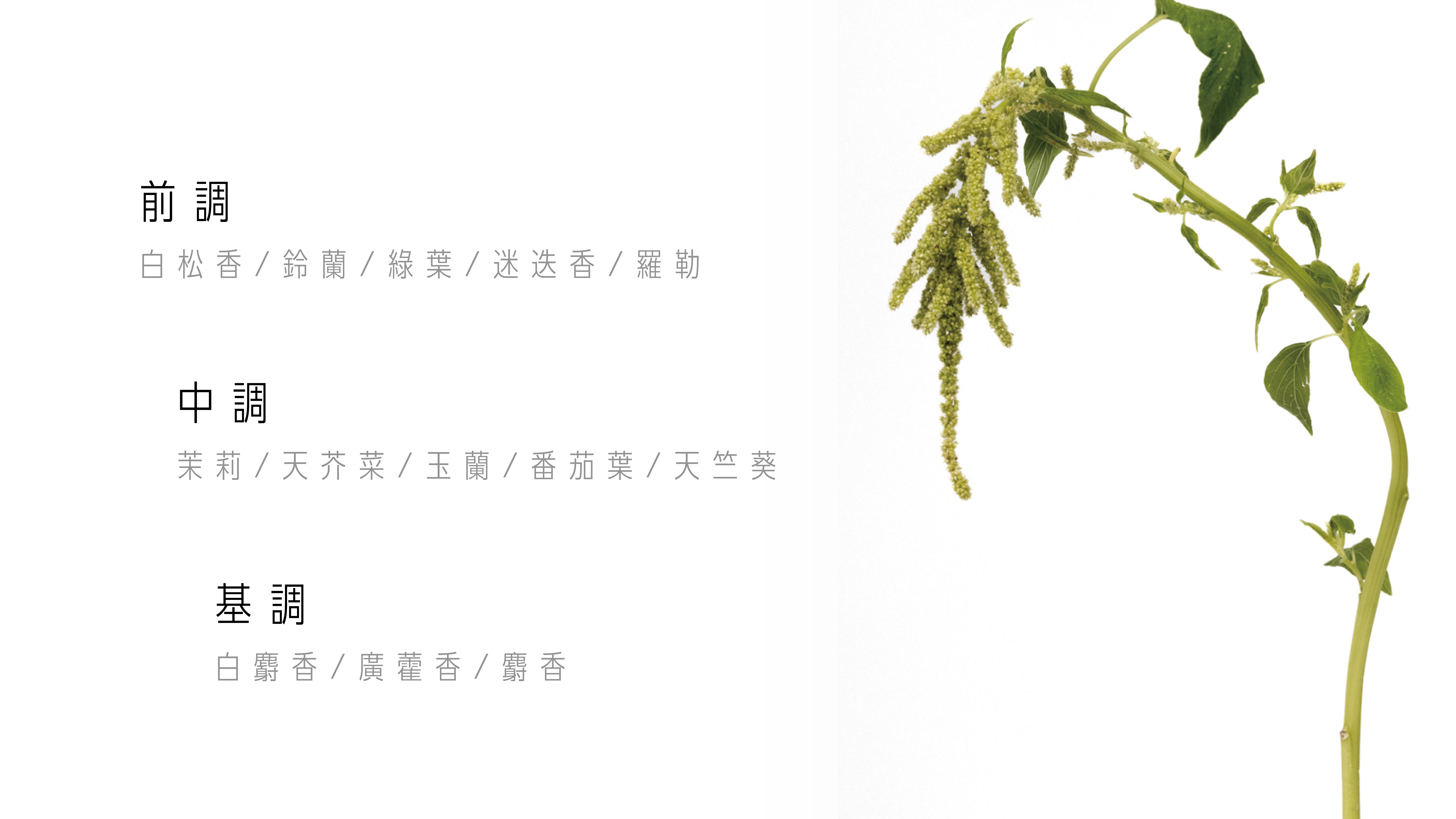 WHITE TOWEL WHEN I WASH UP 沐後絮語潔手乳