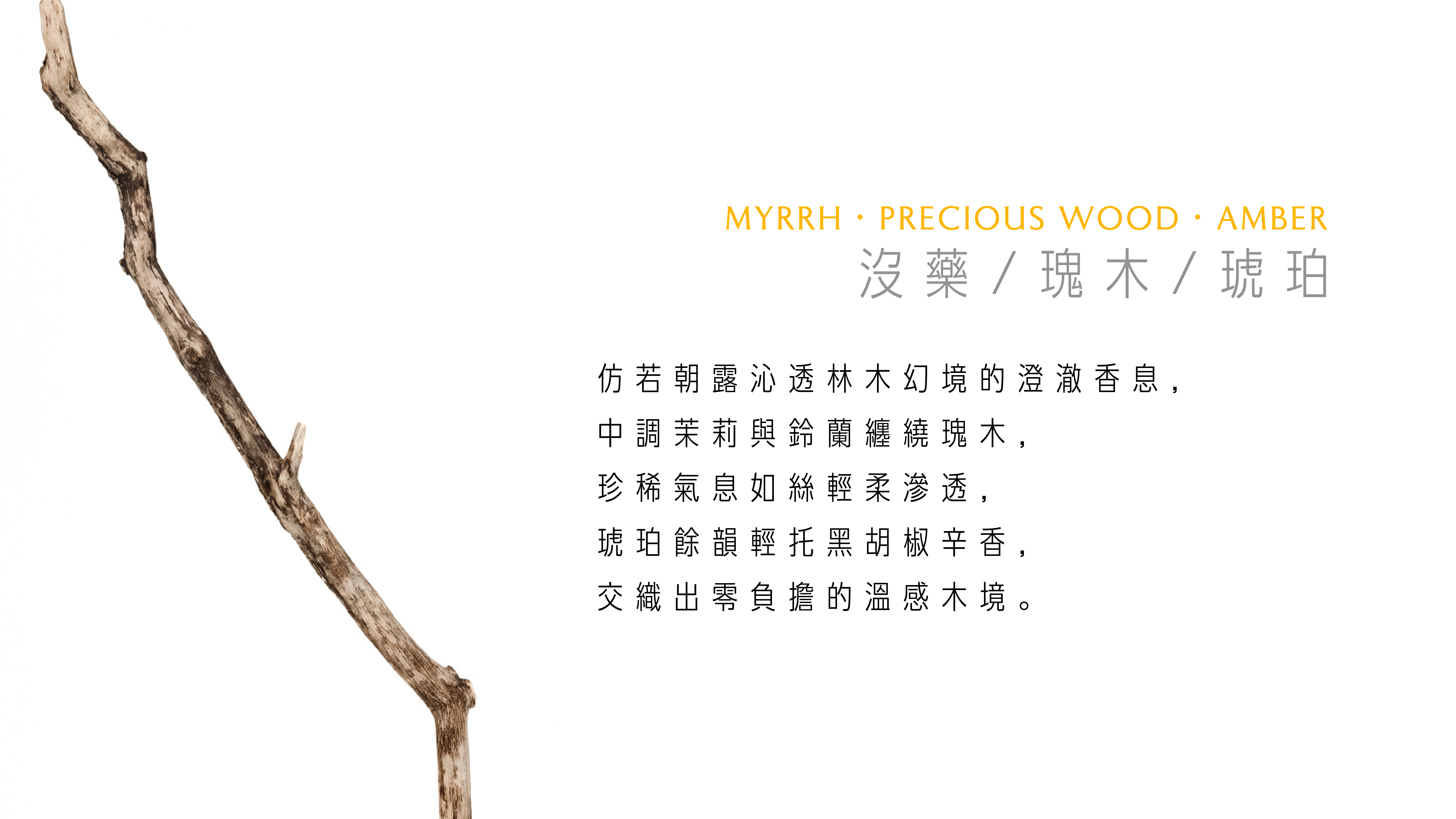 WHITE TOWEL DEWOOD 霧木晨曦潔手乳