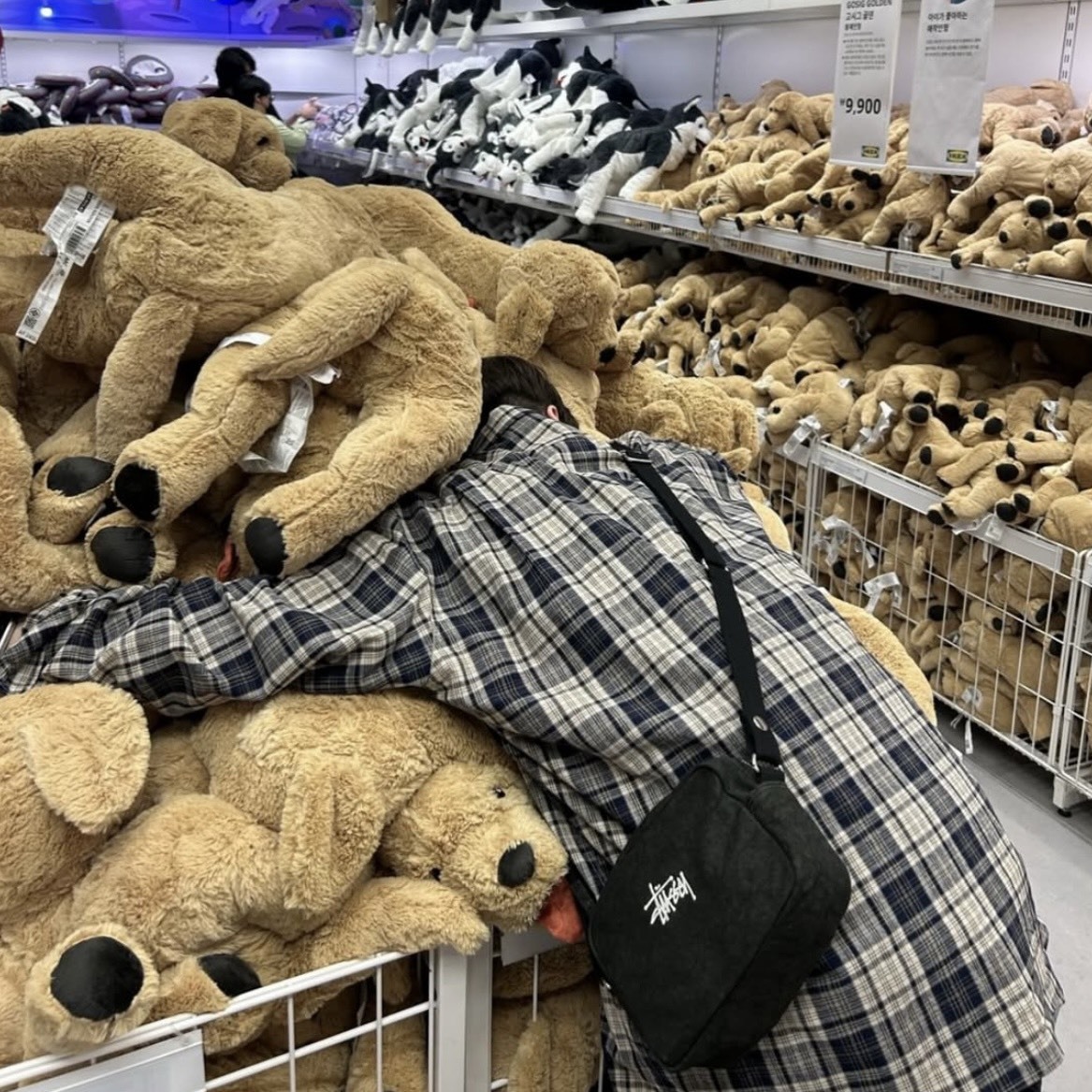 STUSSY CANVAS 帆布小包