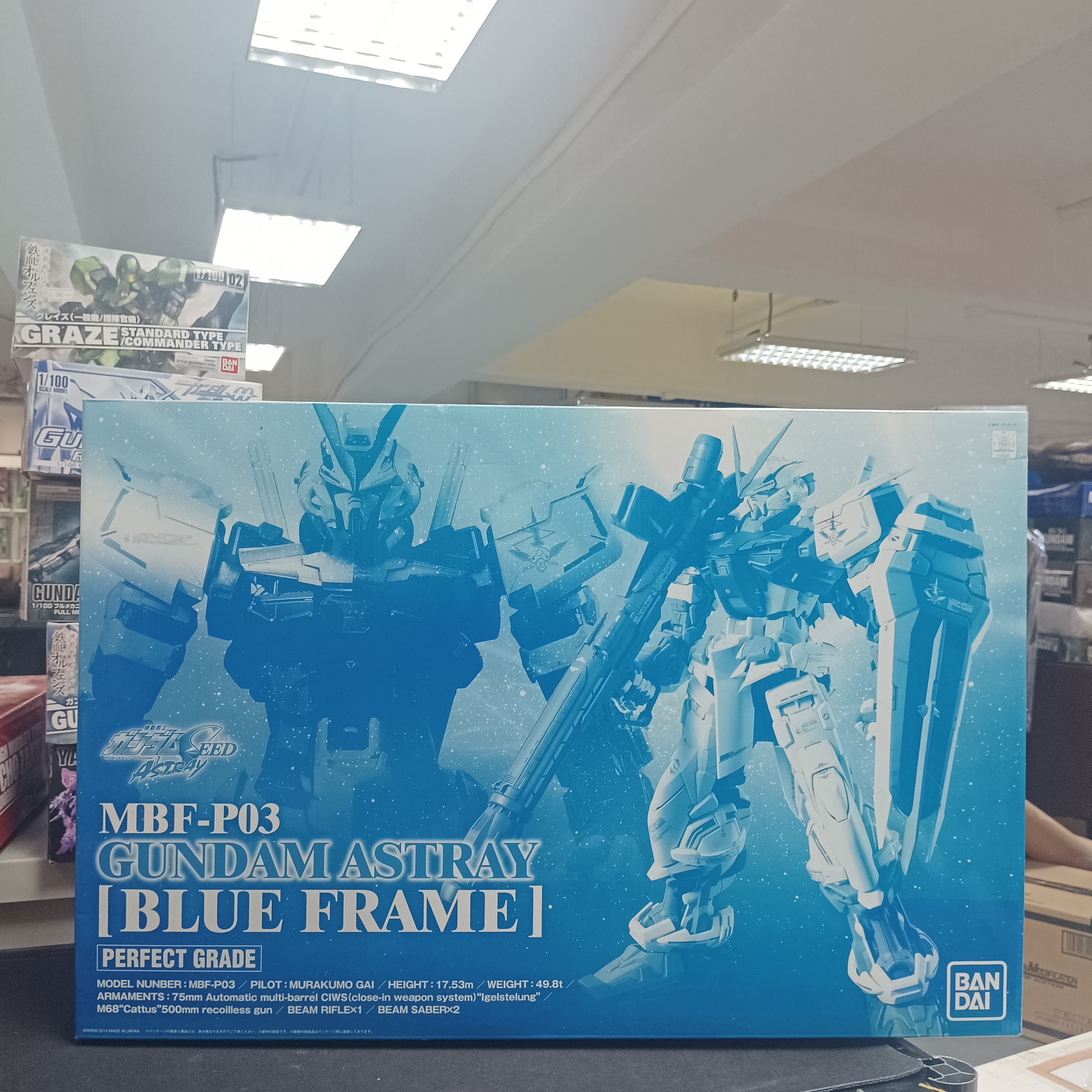 PG 1/60 GUNDAM Astray blue frame