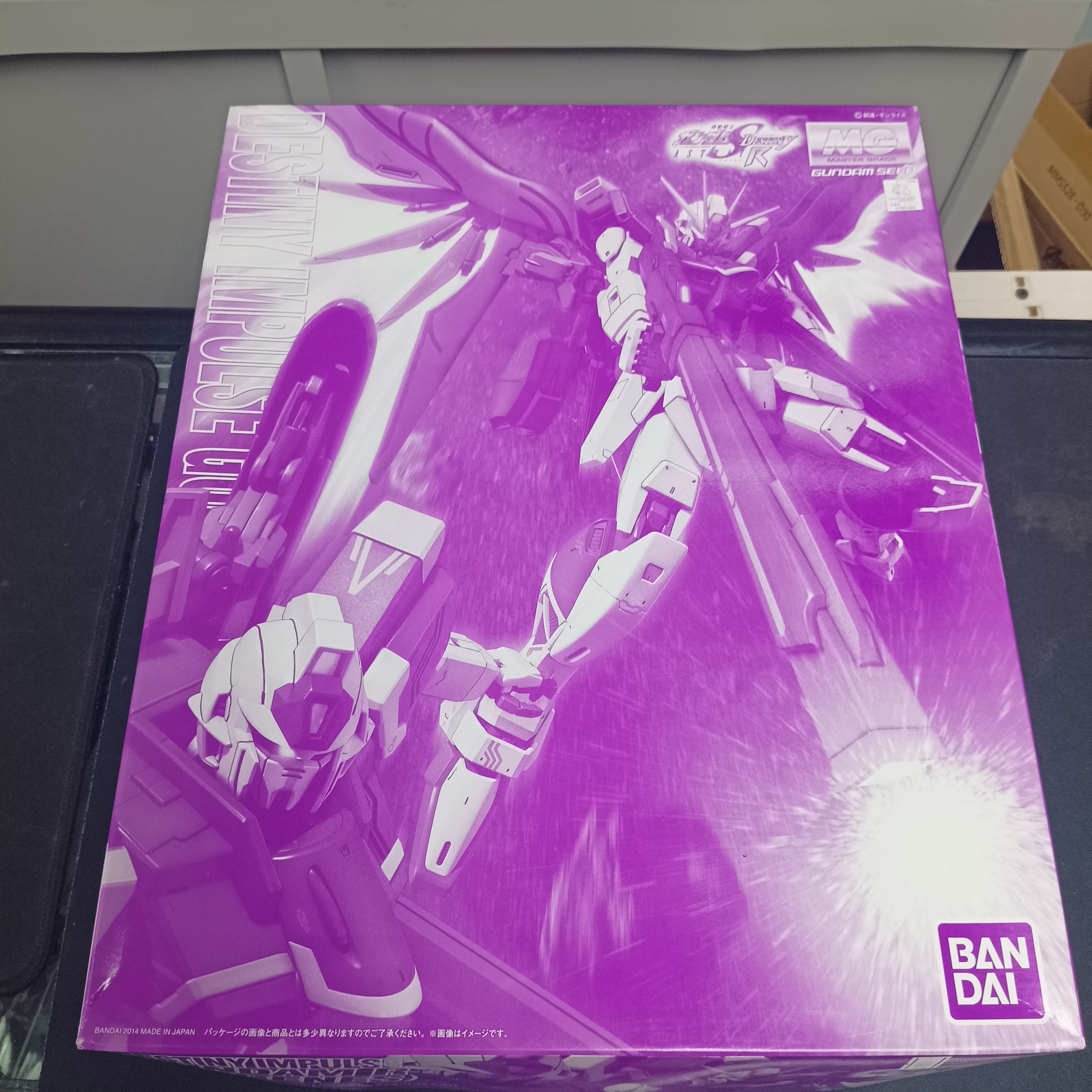 MG 1/100 Gundam Seed Destiny Impulse Gundam R (Regenes)