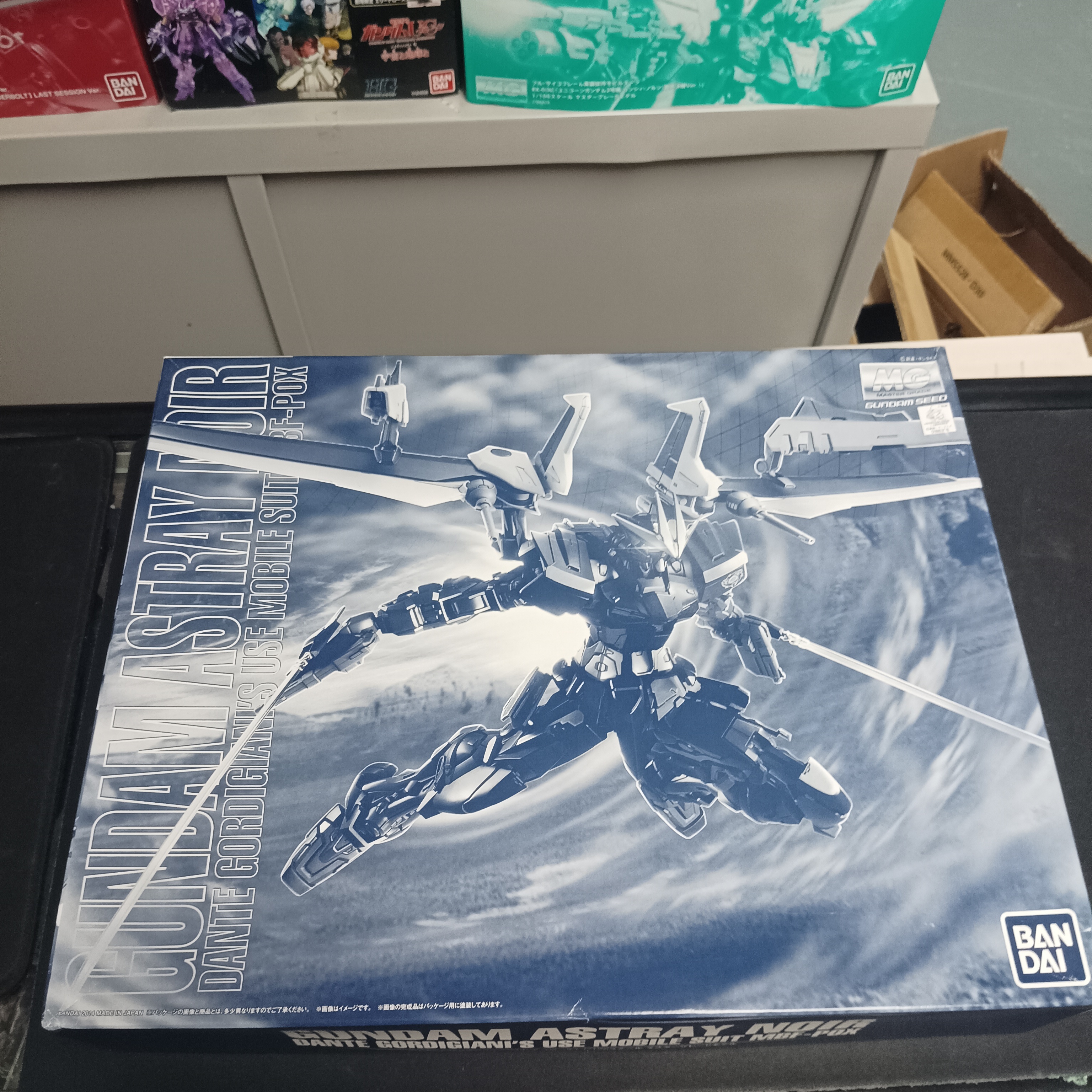 MG 1/100 Astray Noir