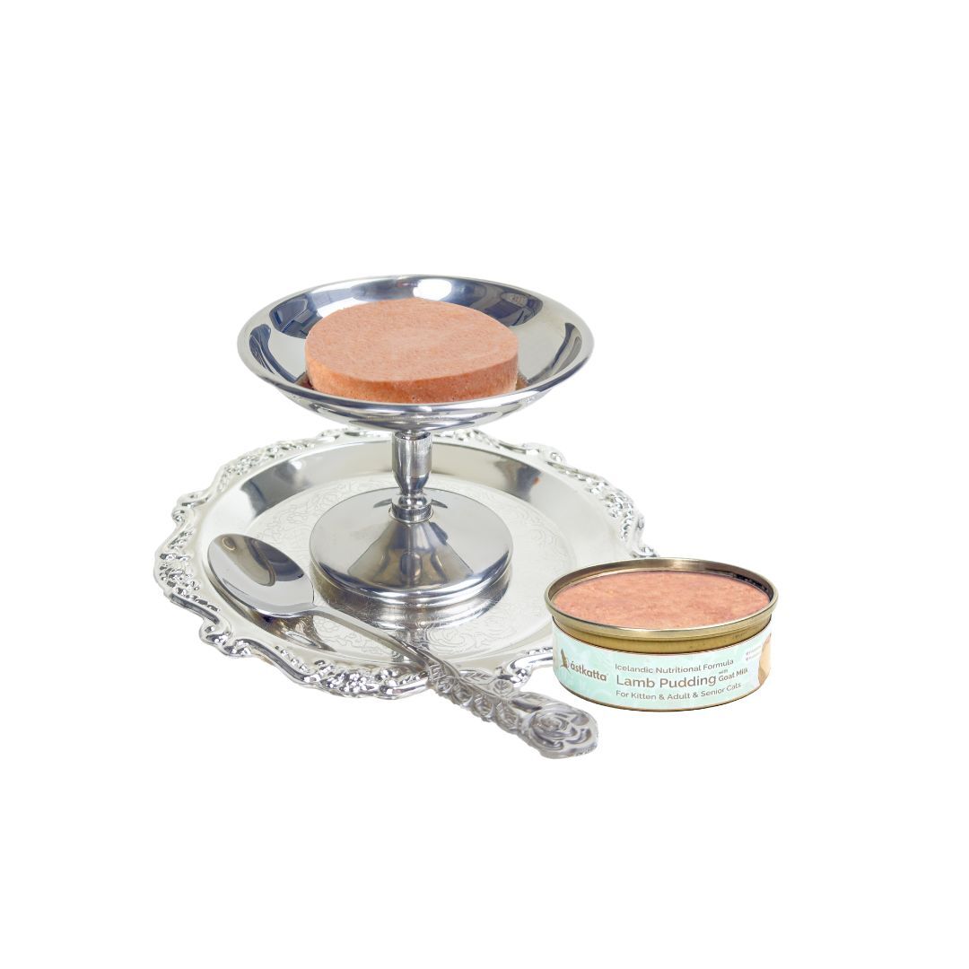 (VIP) Astkatta 守護腸道健康貓布甸罐 - 羊肉山羊奶 40g (Exp: Jun-2028)