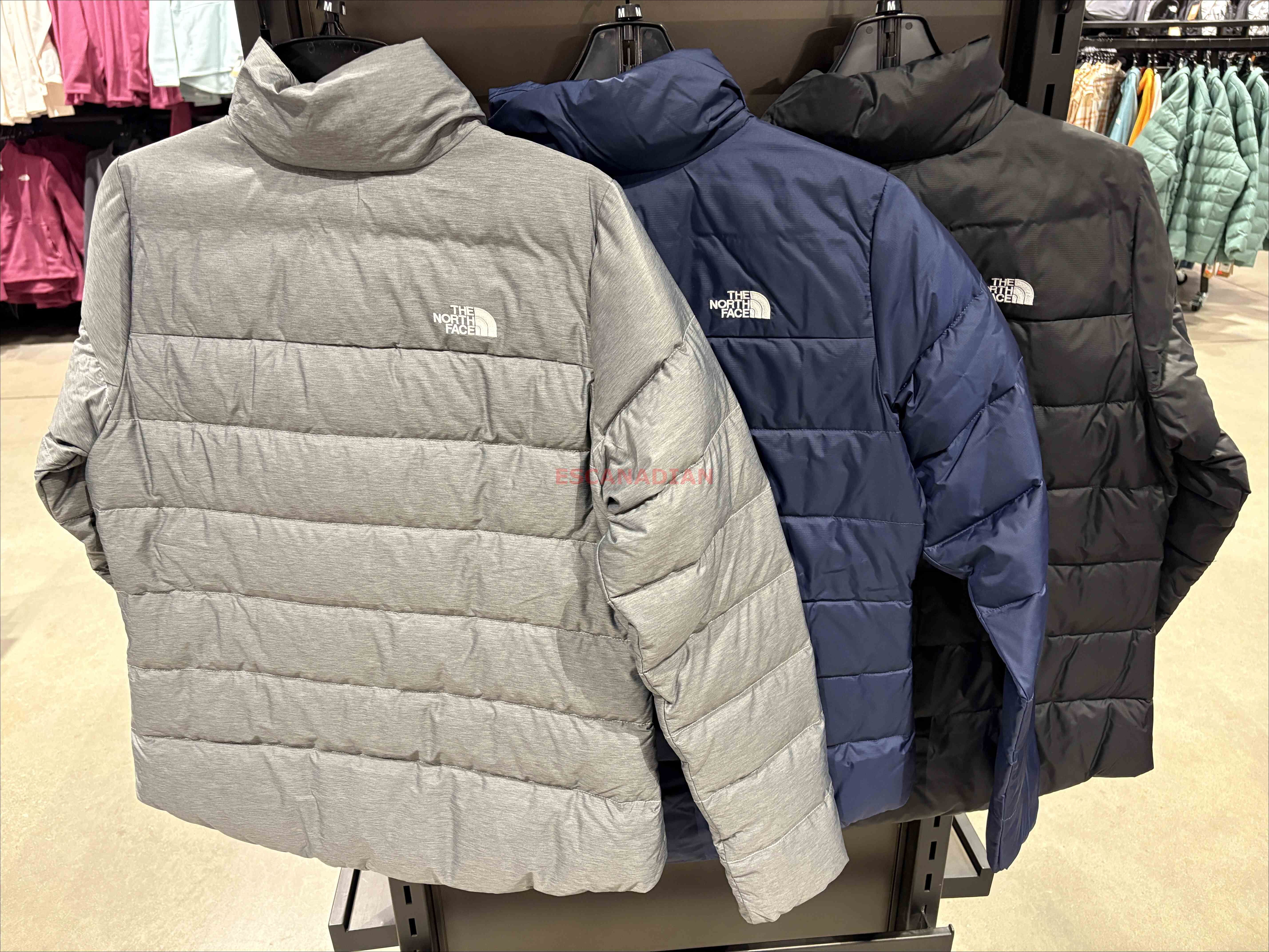 THE NORTH FACE 女大人 刺繡小標 600輕便蓬鬆羽絨  外套 (3色) (可當三合一內裡)