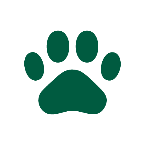 寵物營養師調配