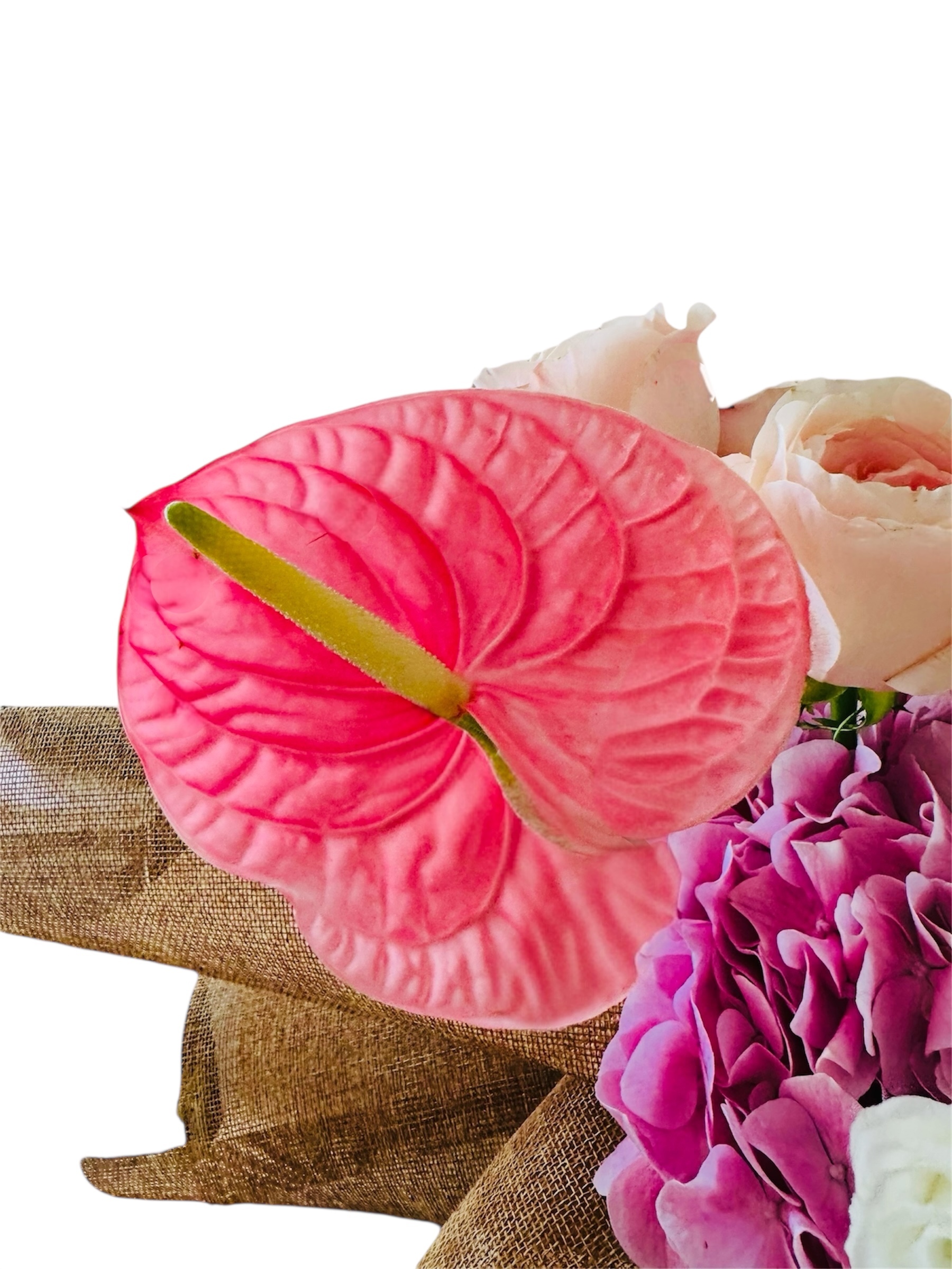 Pink Friendship 4-Ever & Labubu V3