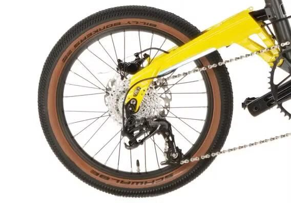 2025 BIRDY  GV PLUS 雙色版