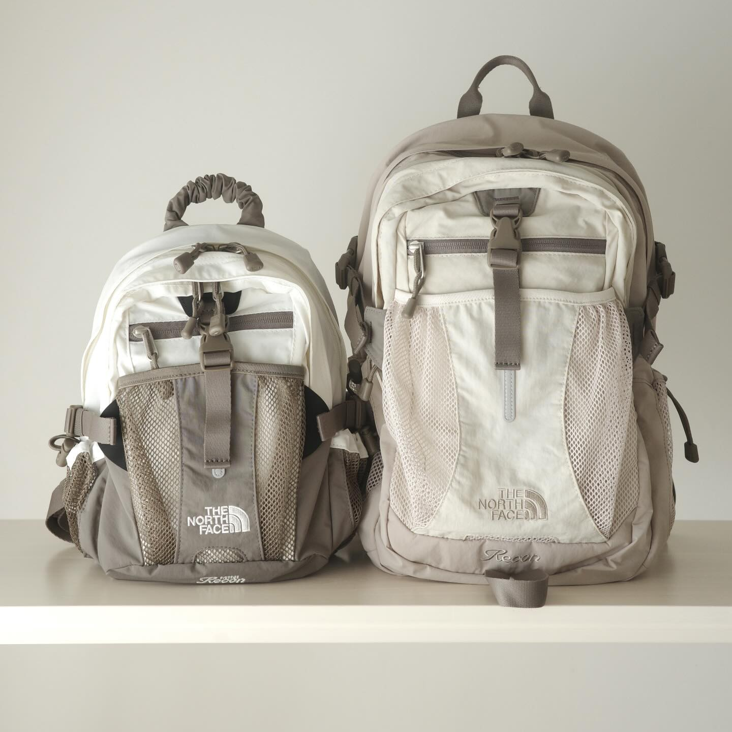 THE NORTH FACE RECON BACKPACK (2 SIZE)