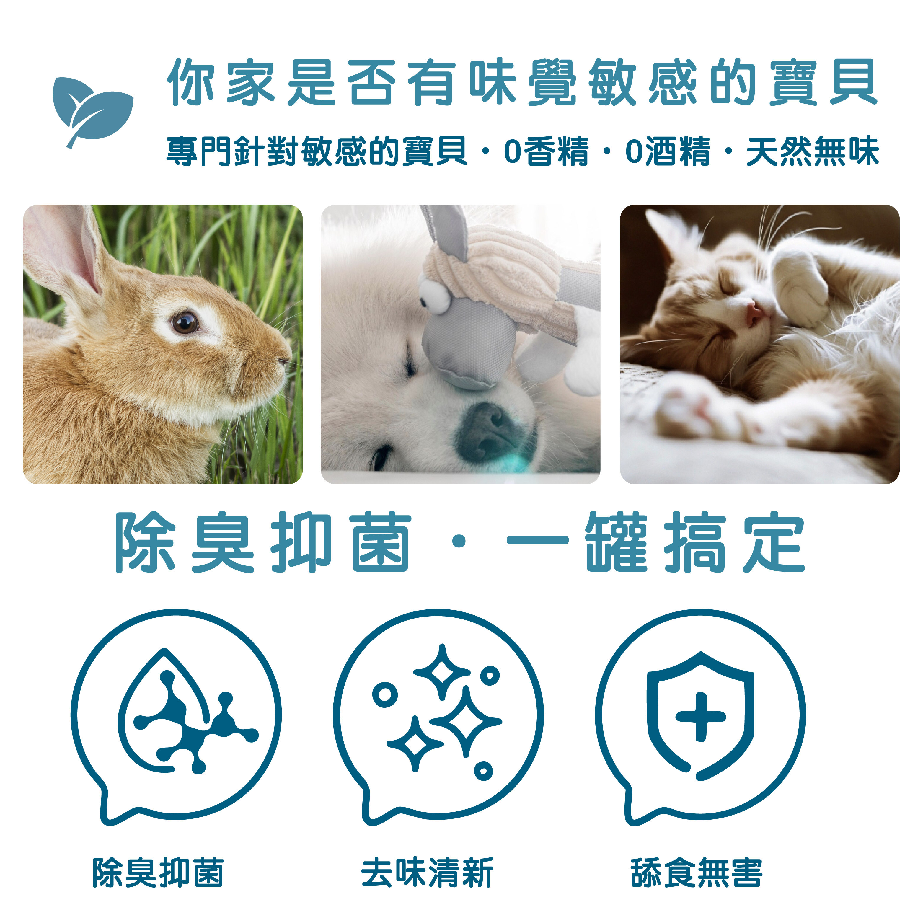 無味系列清潔用品 洗毛 洗碗 地板清潔 味覺敏感毛孩