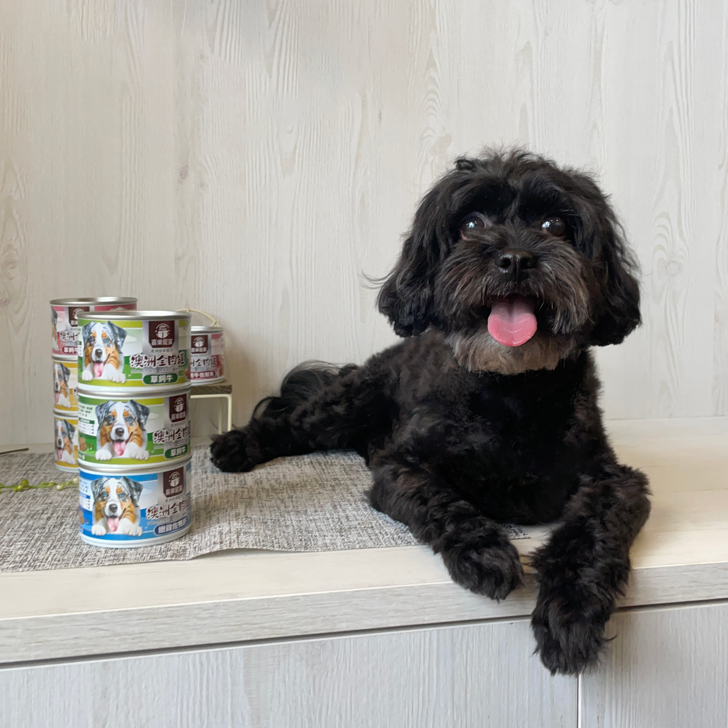 澳洲全肉罐-腸道保健 165g